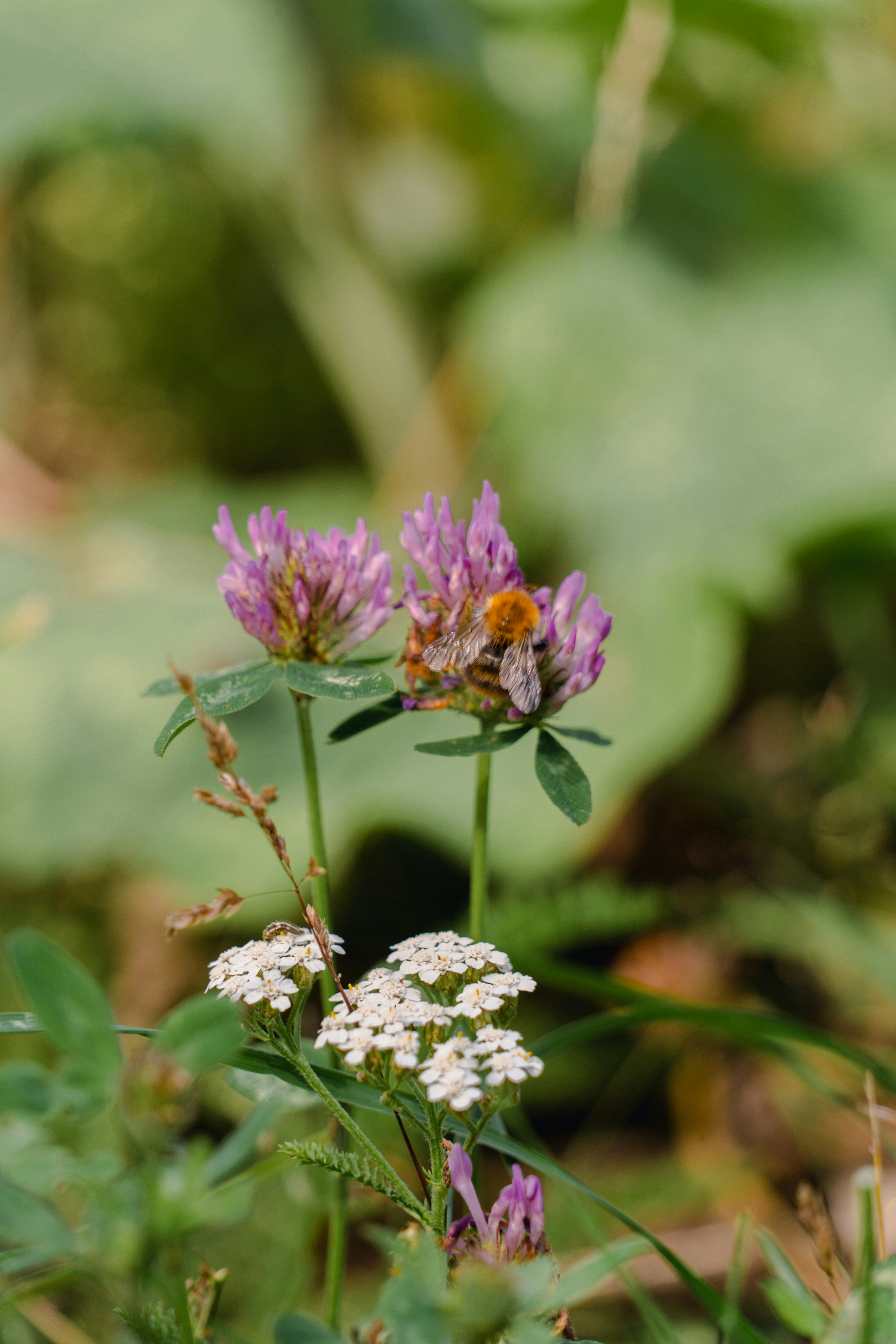 Photo by melina_dominic