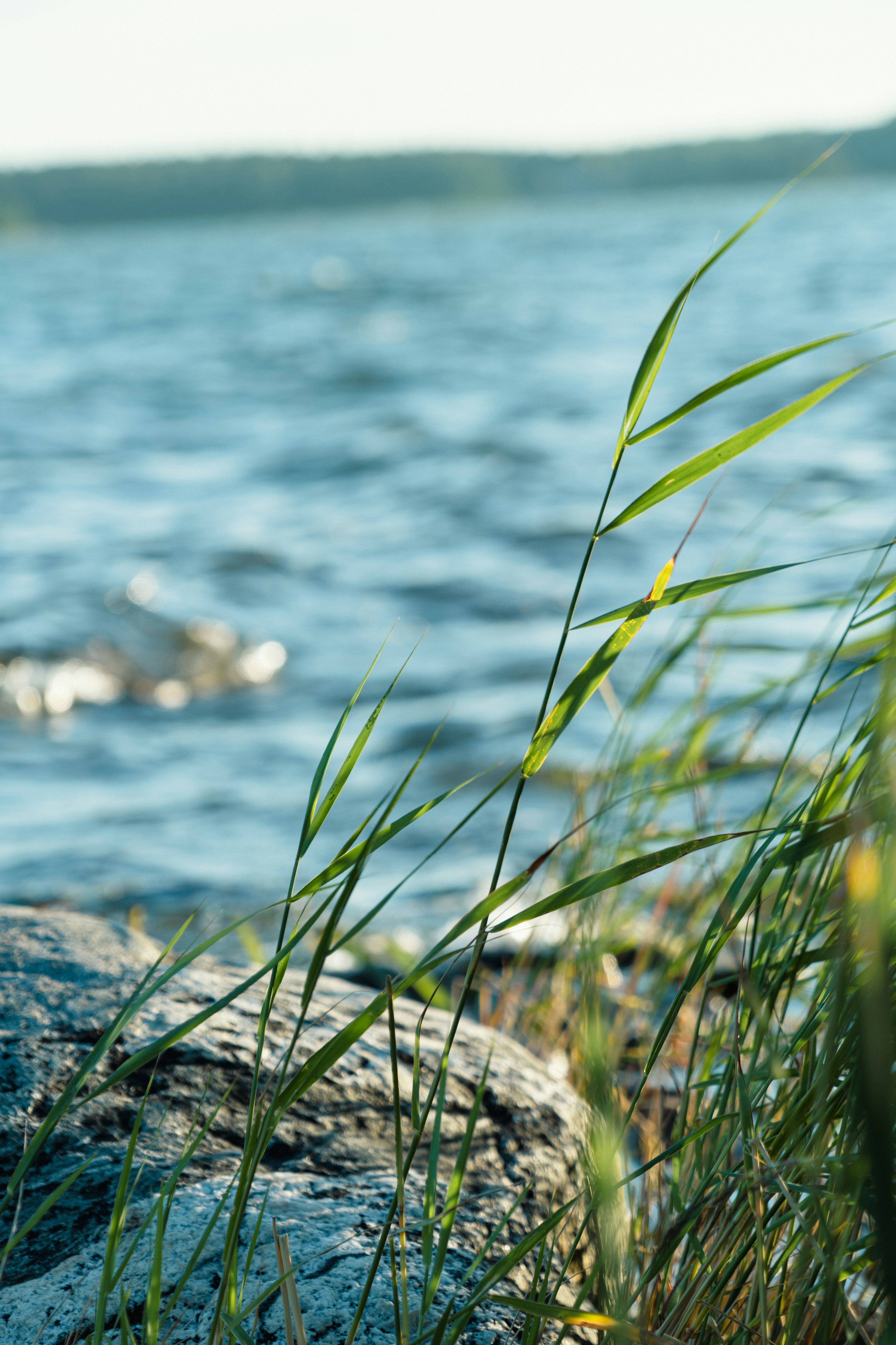 Photo by melina_dominic