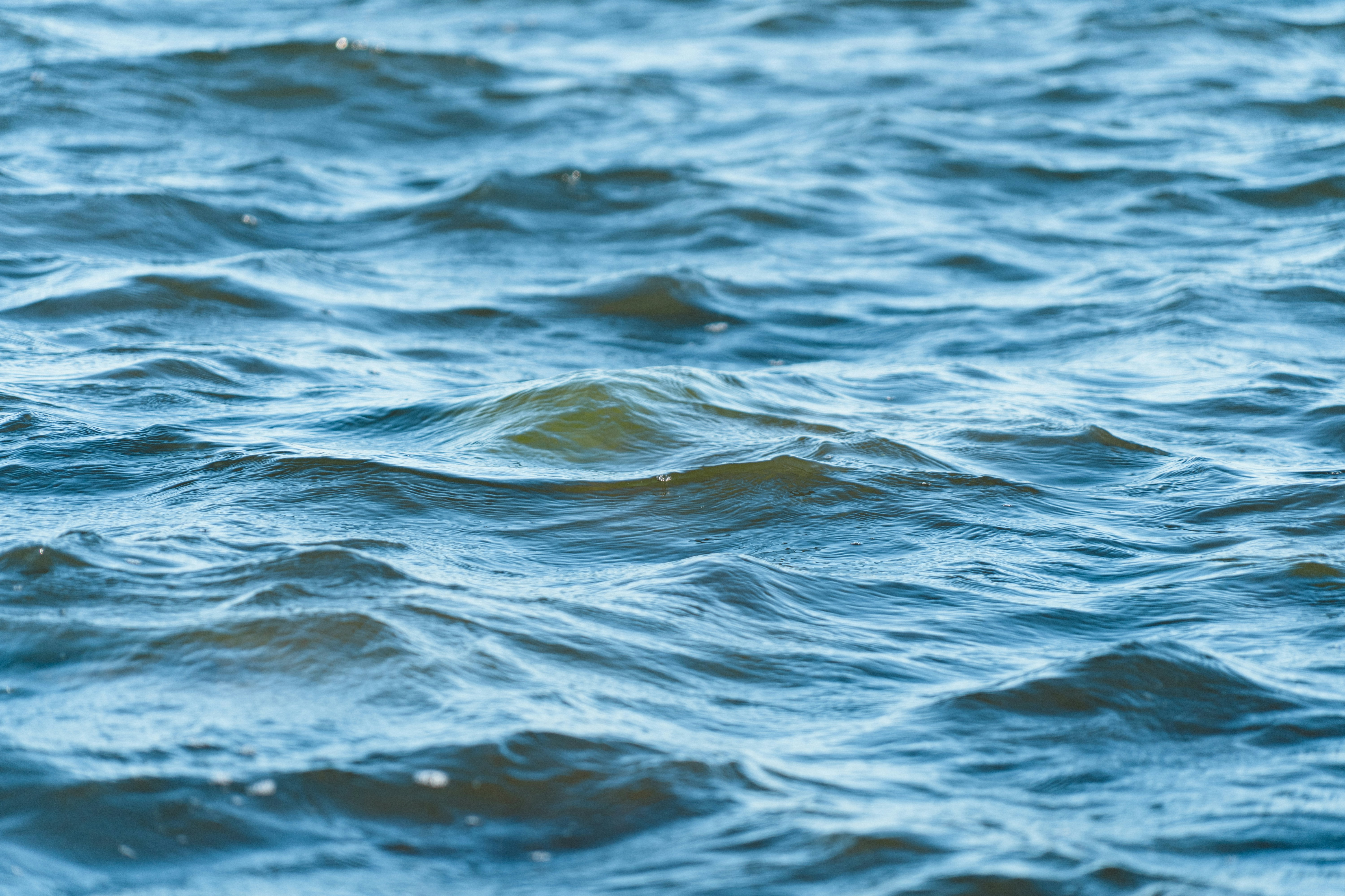 Photo by melina_dominic