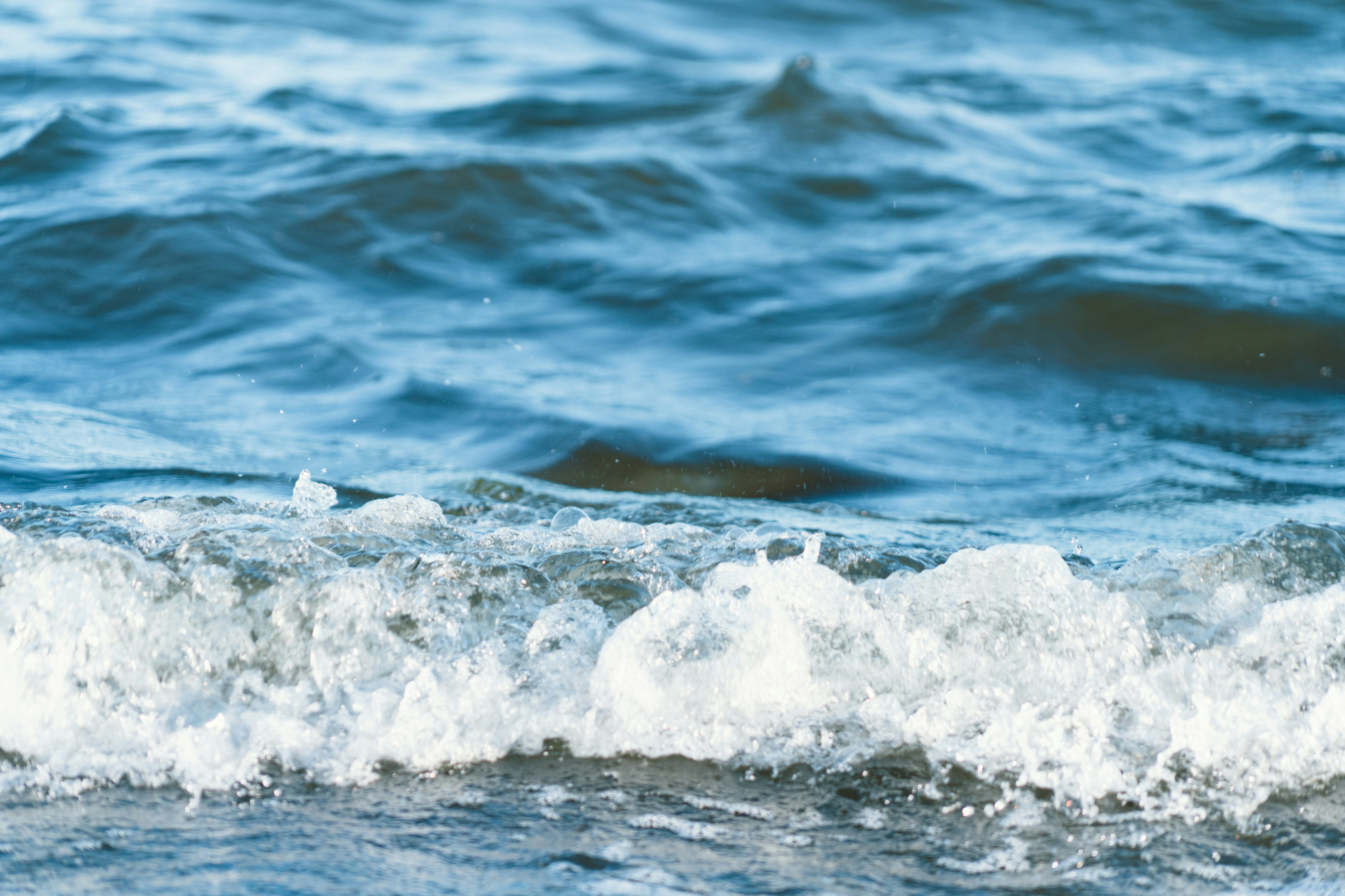 Photo by melina_dominic