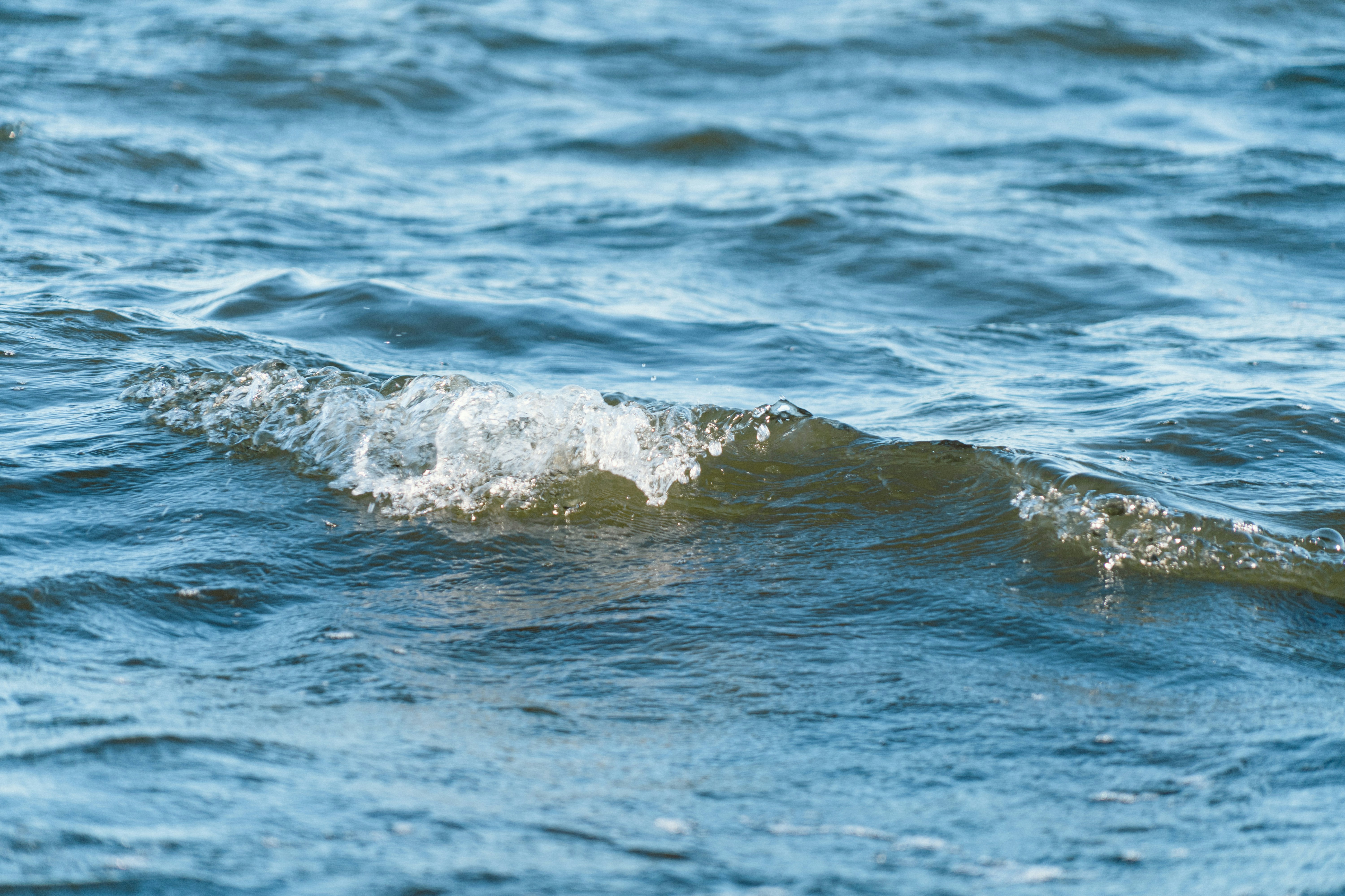 Photo by melina_dominic