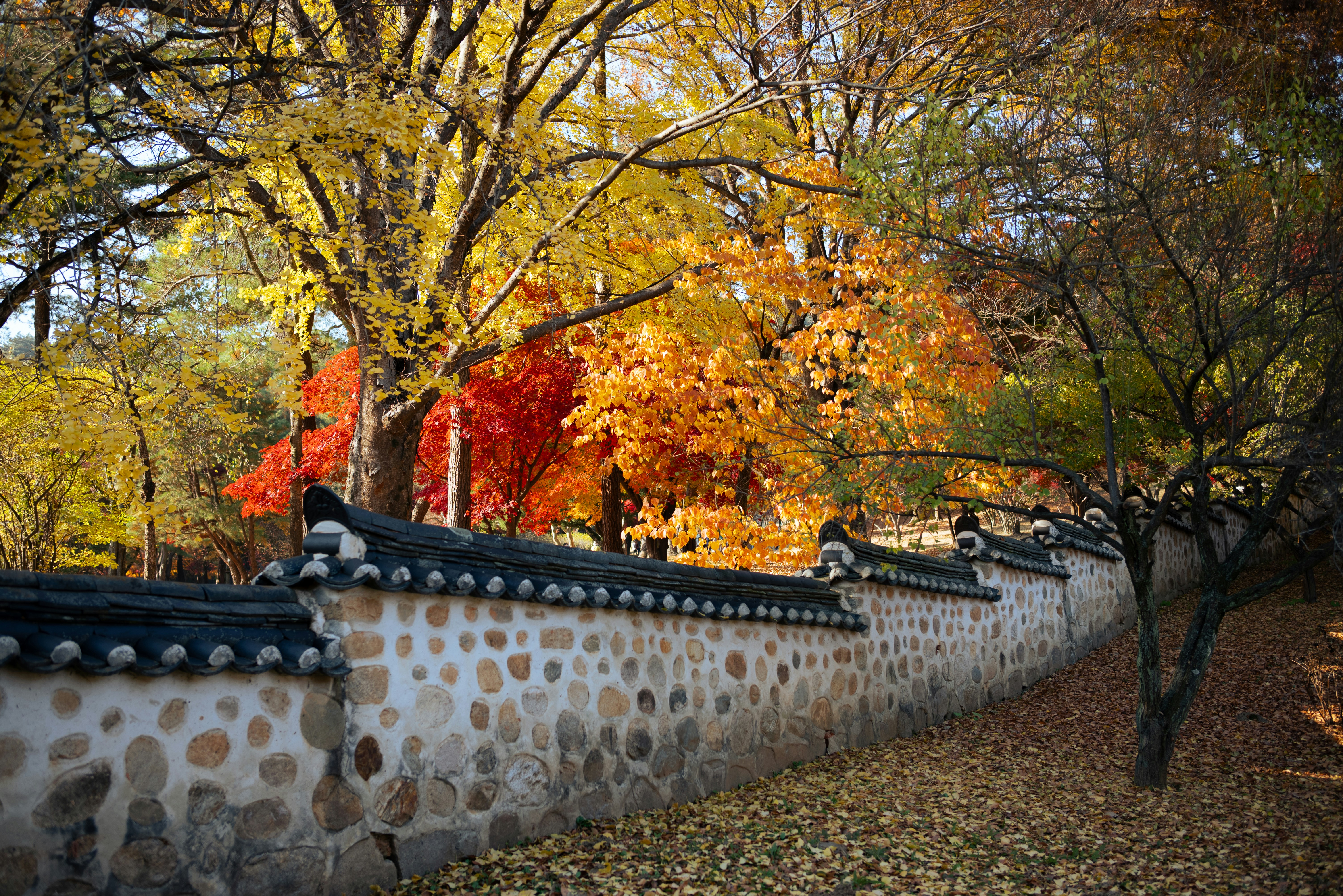 Stone wall with autumn trees and fallen leaves