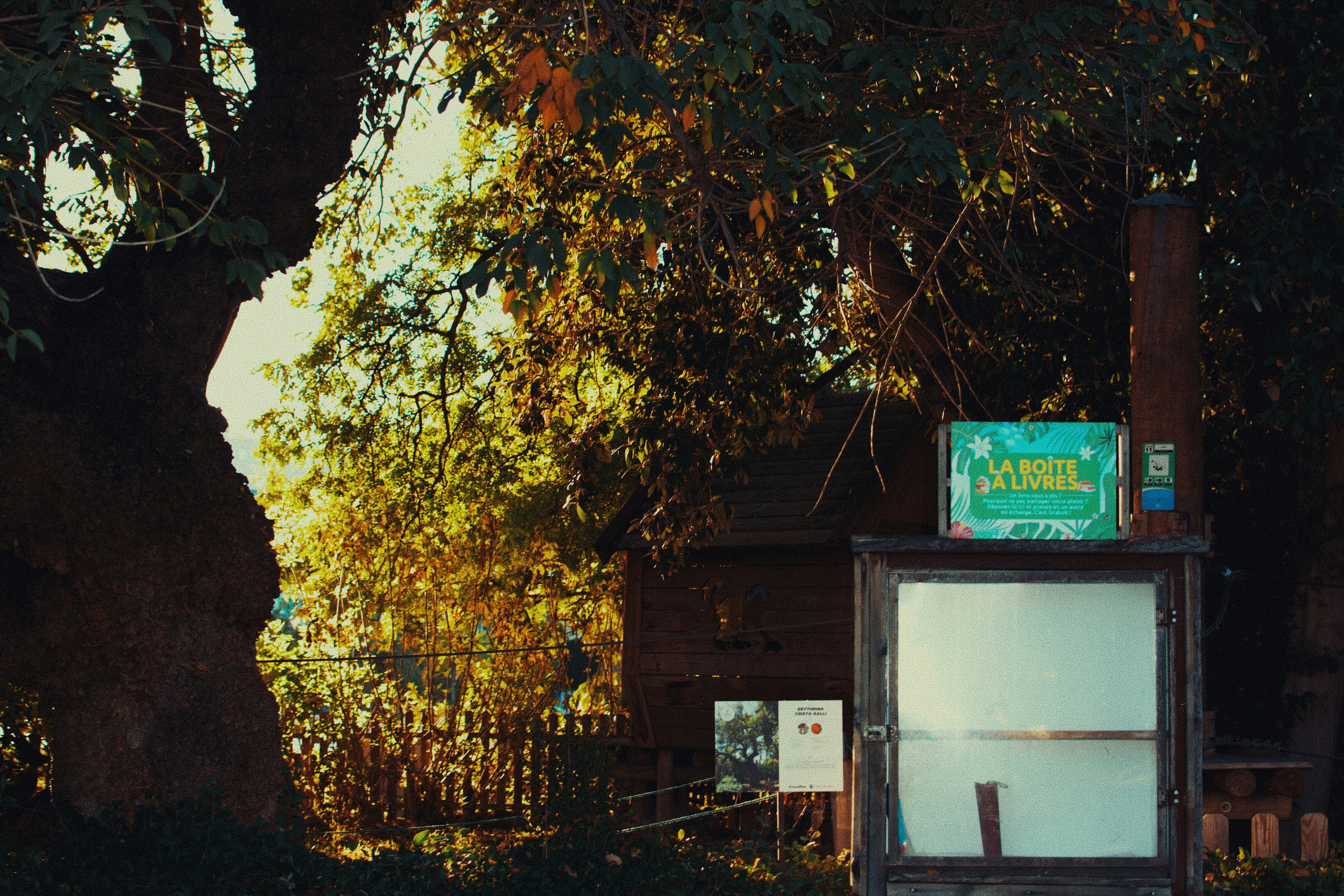 Photo by adamboukhris