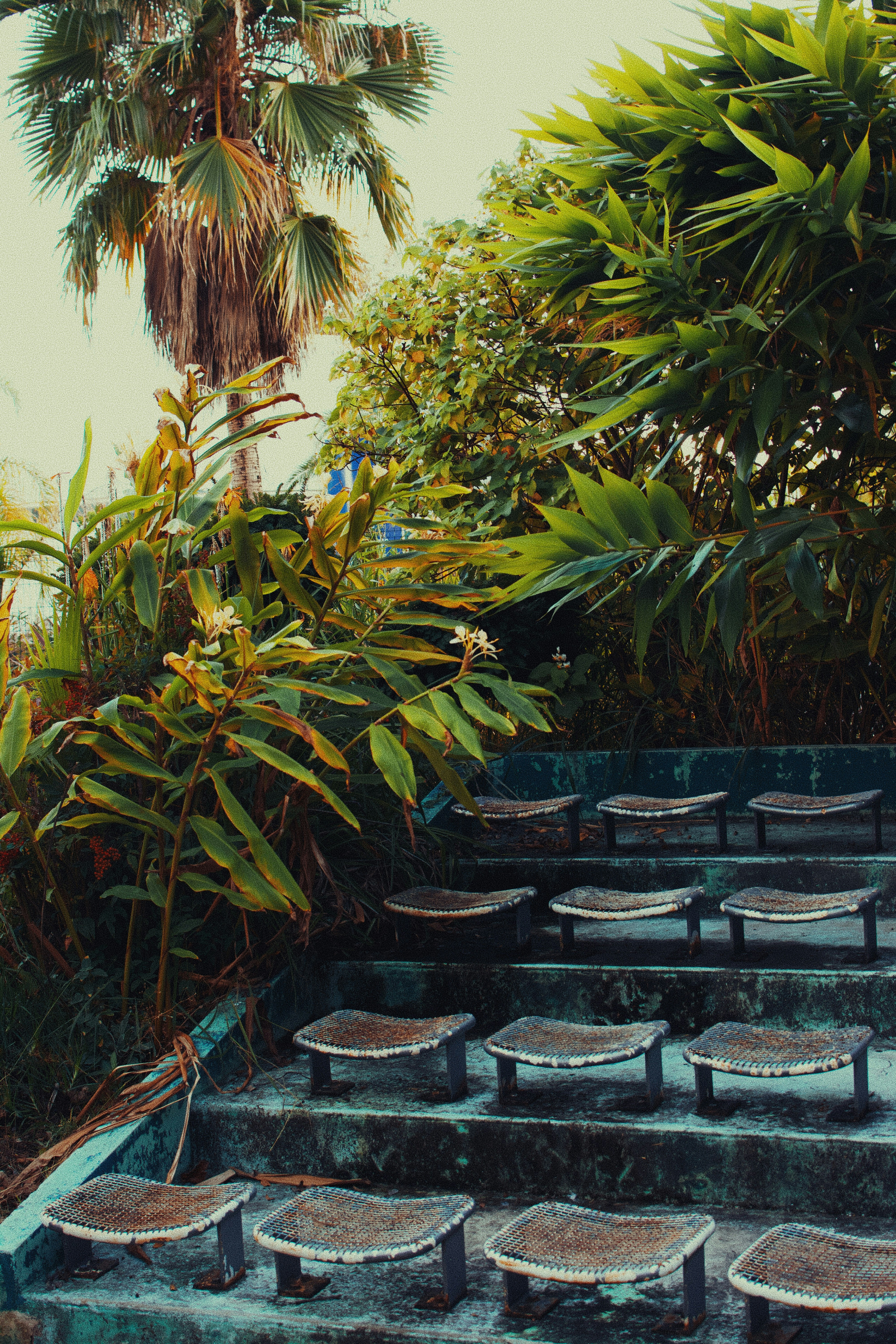 plants idea 1