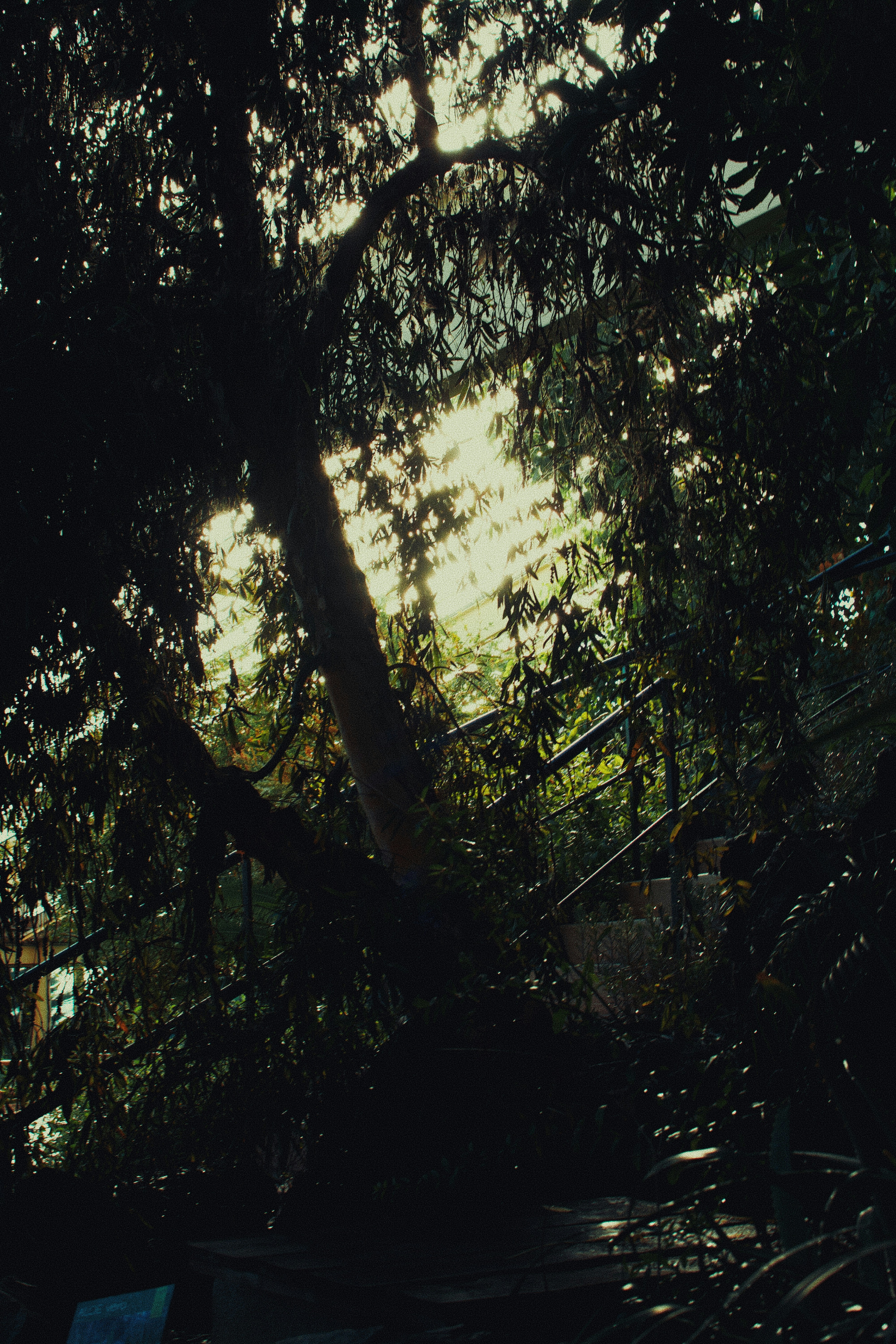 Photo by adamboukhris