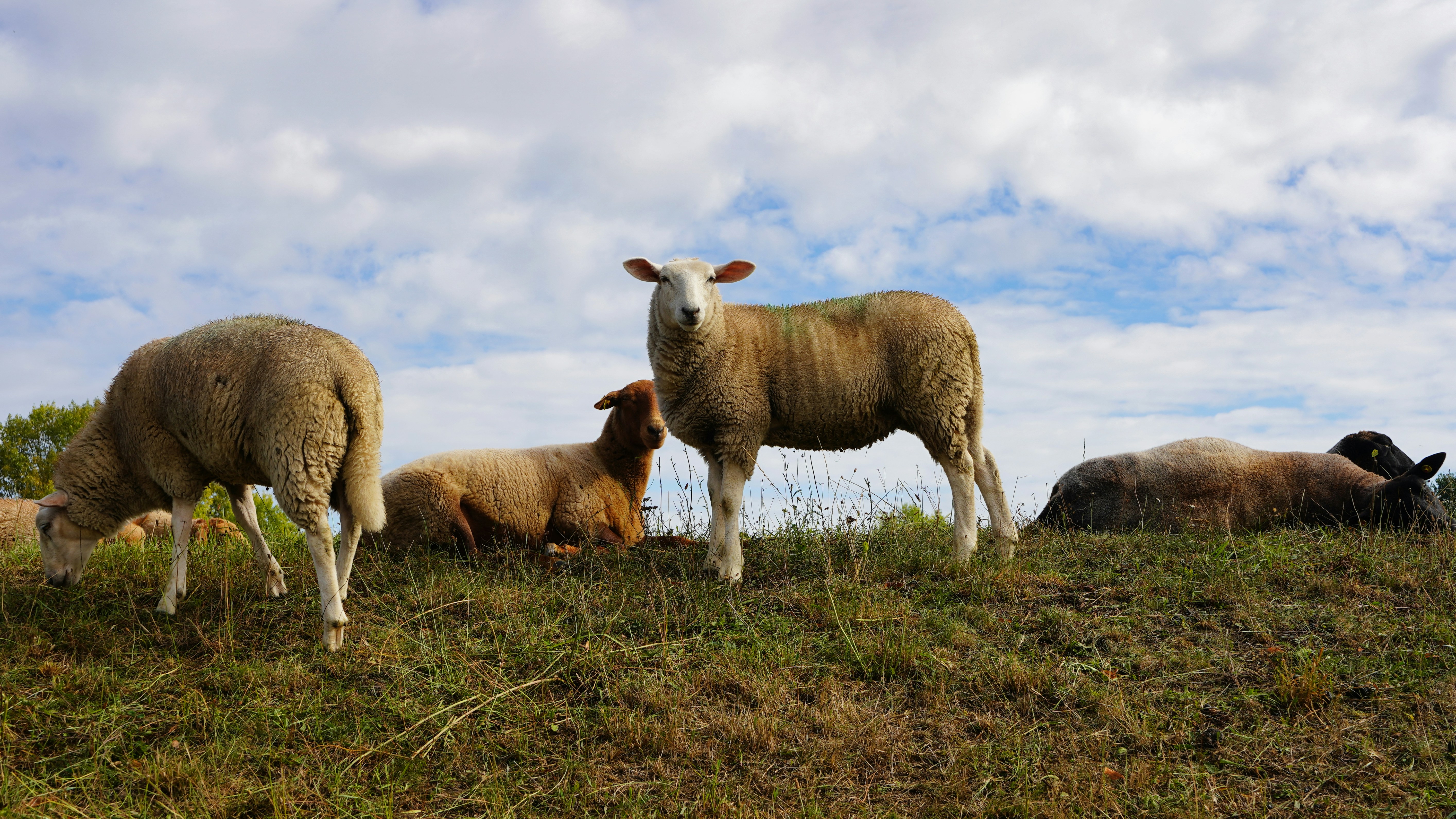 Photo by hamburgmeinefreundin