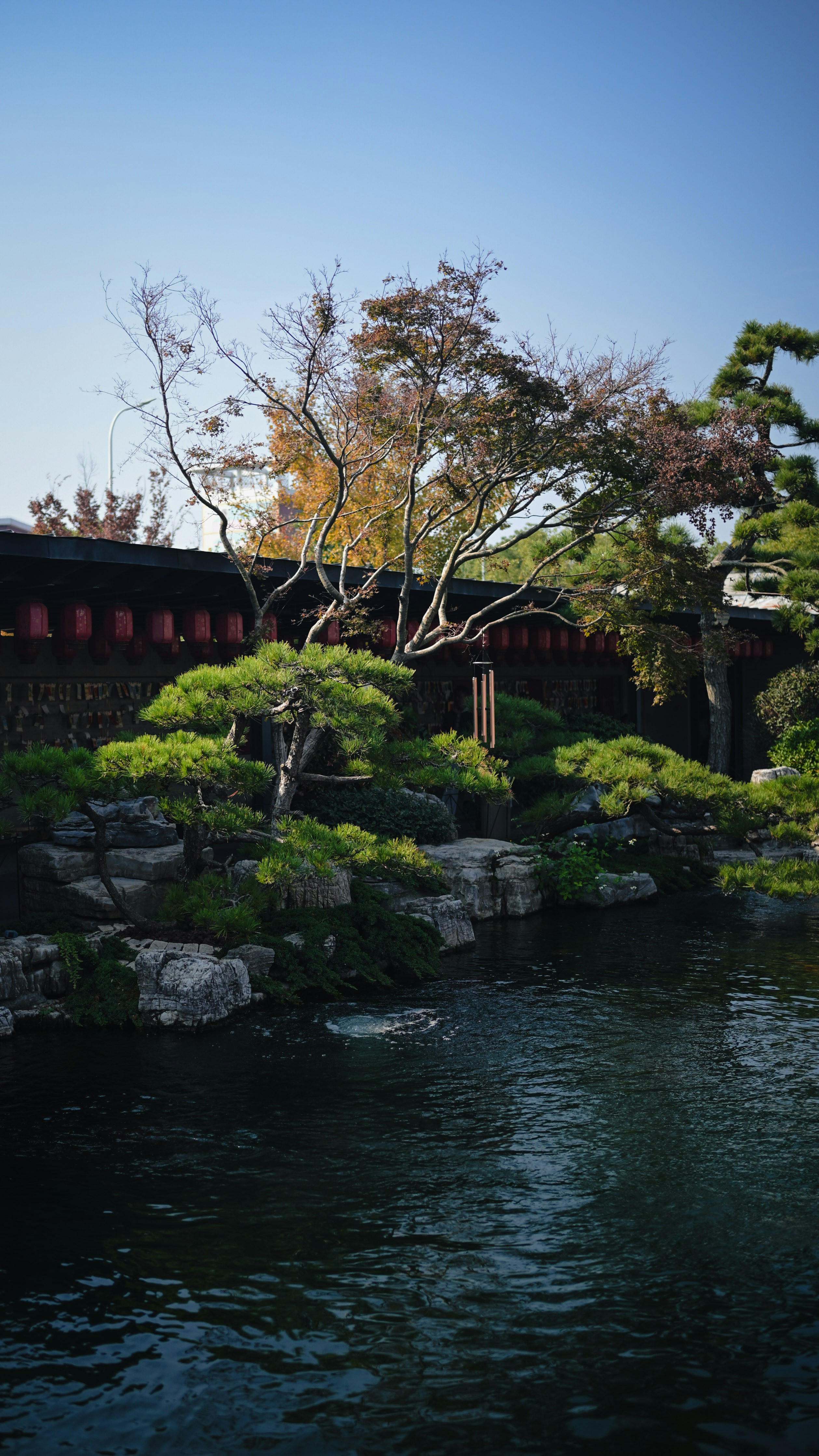 Photo by oliver_zhou