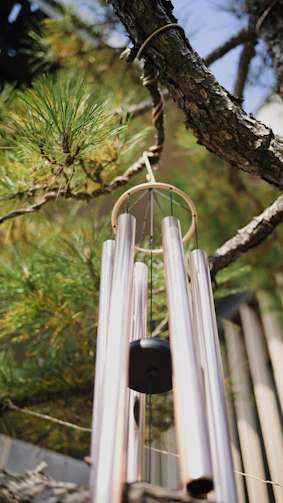 Wind chimes hanging from a tree branch.