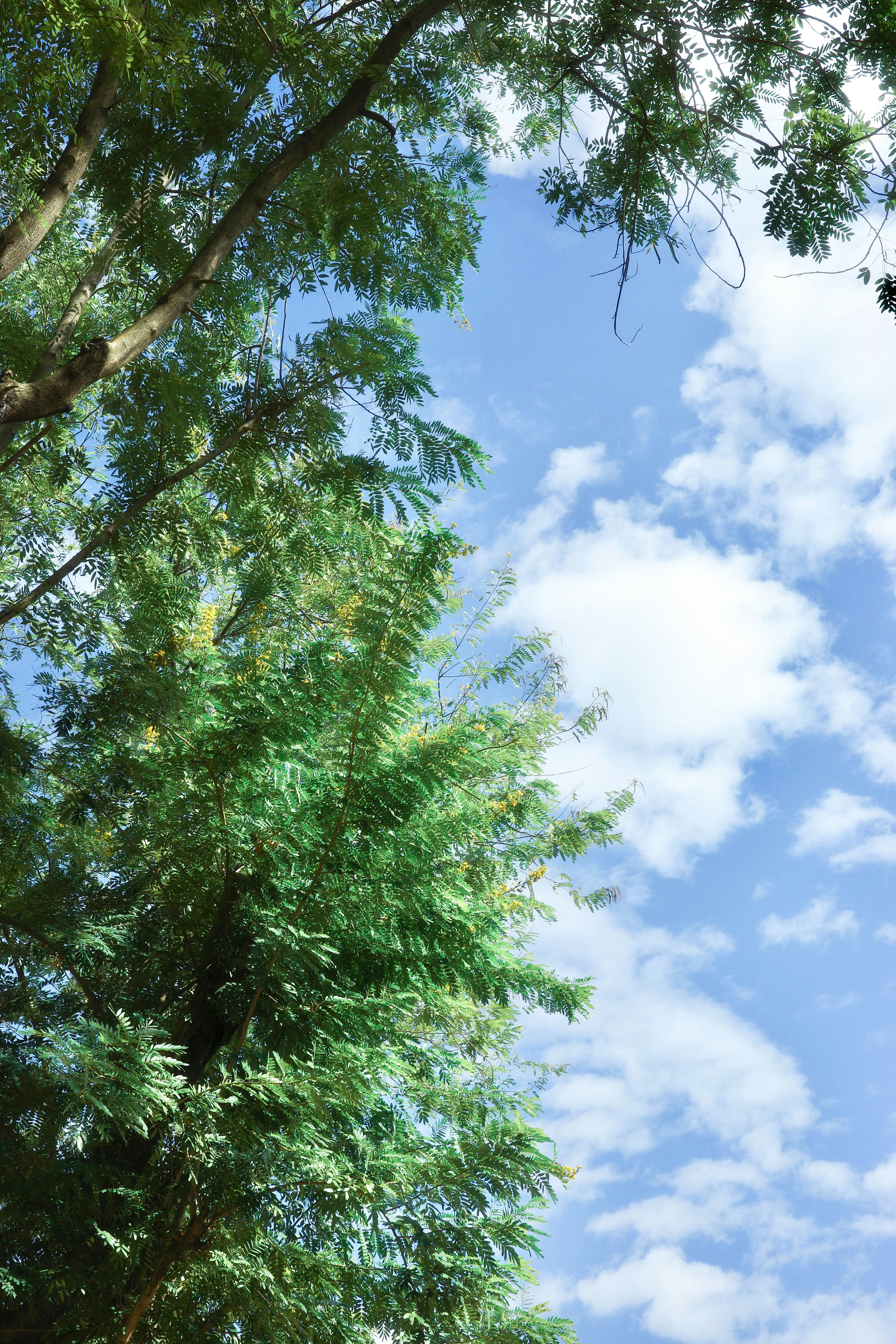 Photo by lazziemoments