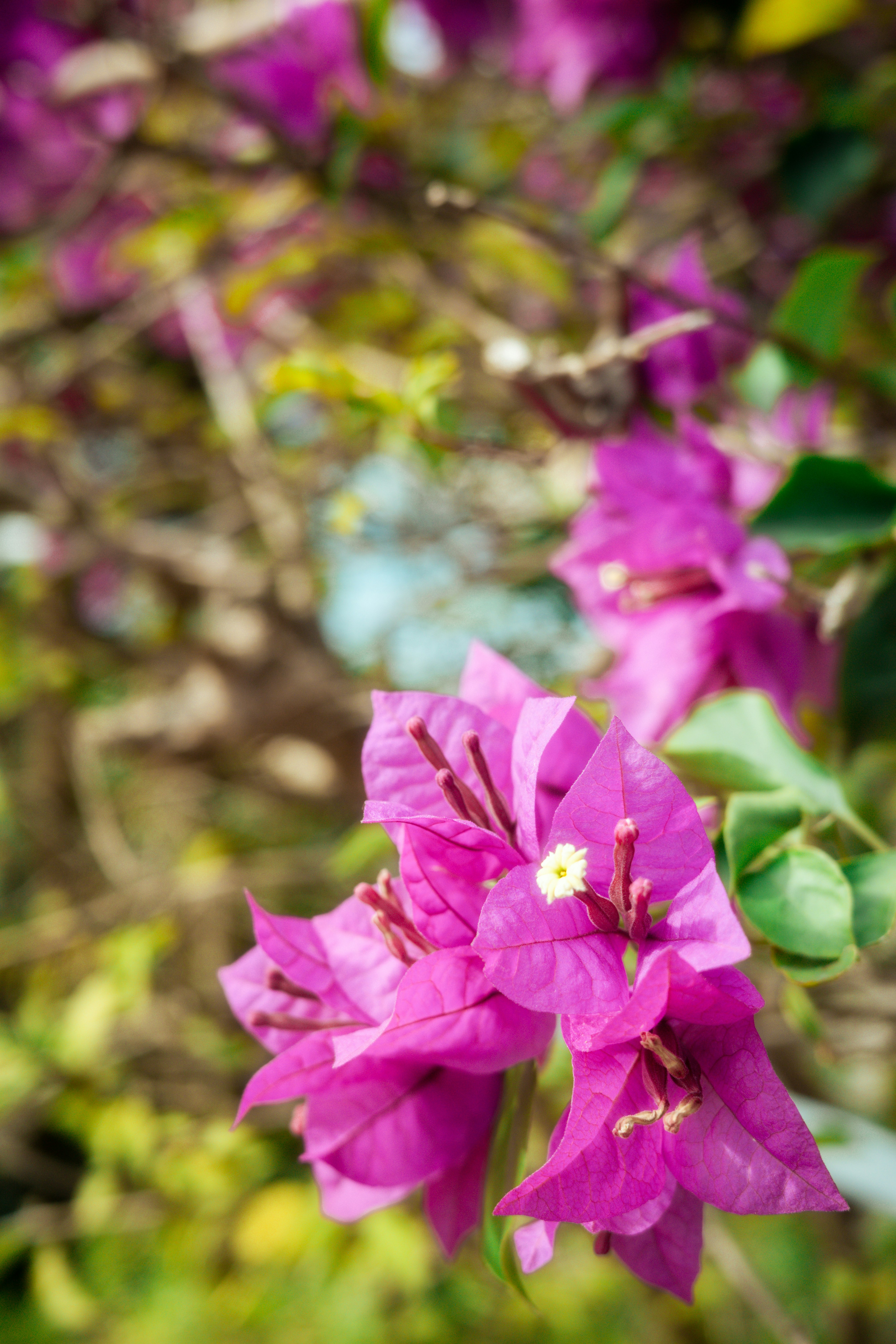 Photo by lazziemoments