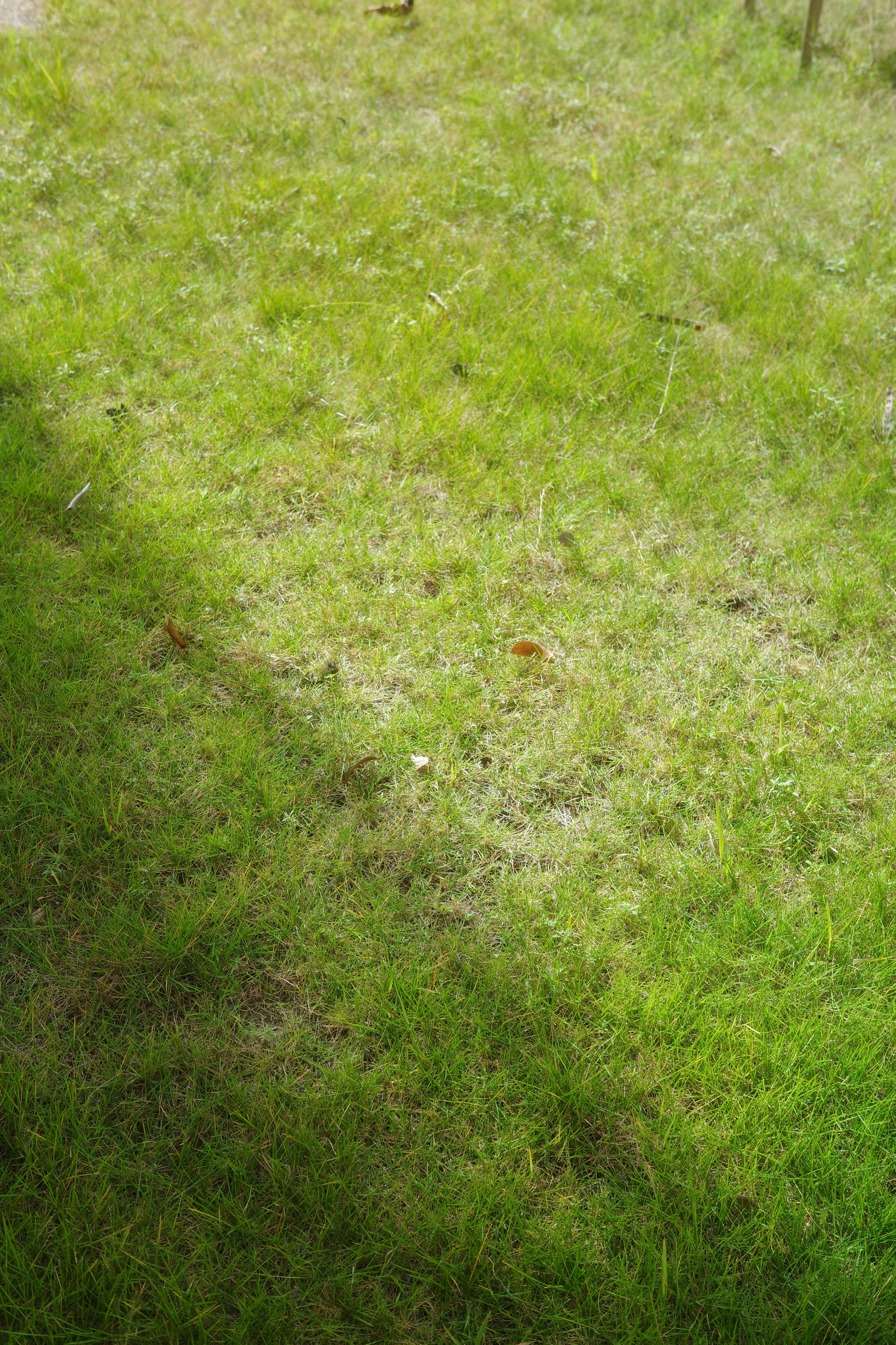 Photo by lazziemoments