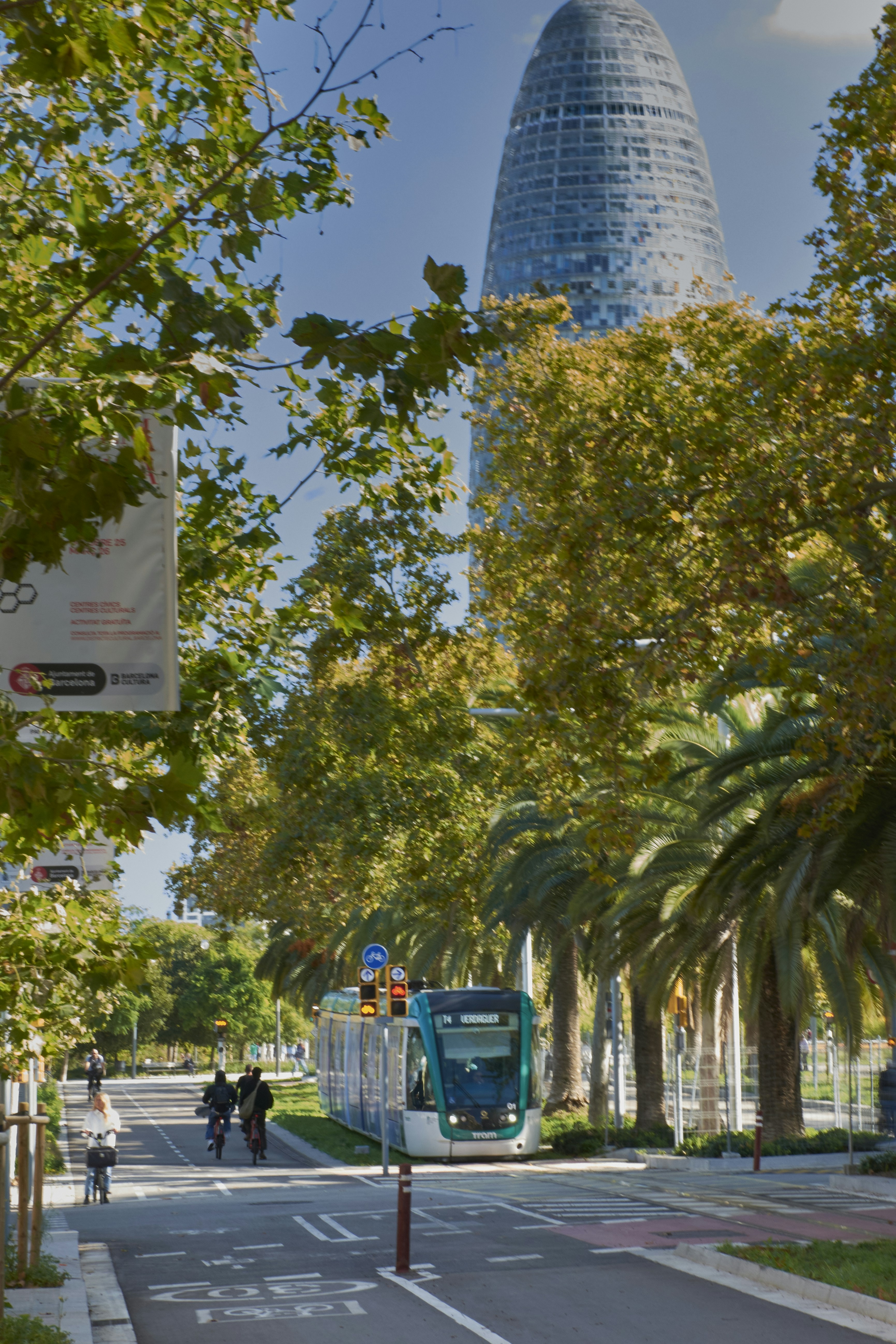 Tram moving down street with modern skyscraper behind trees.