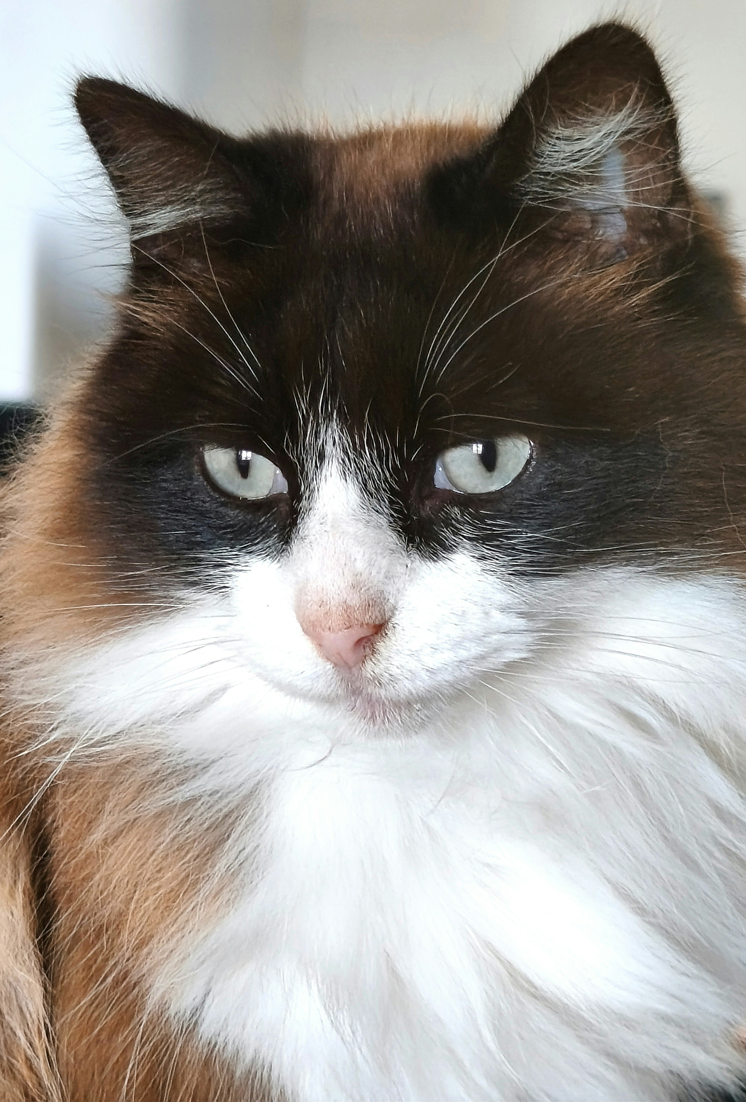 Photo by geraldine86170