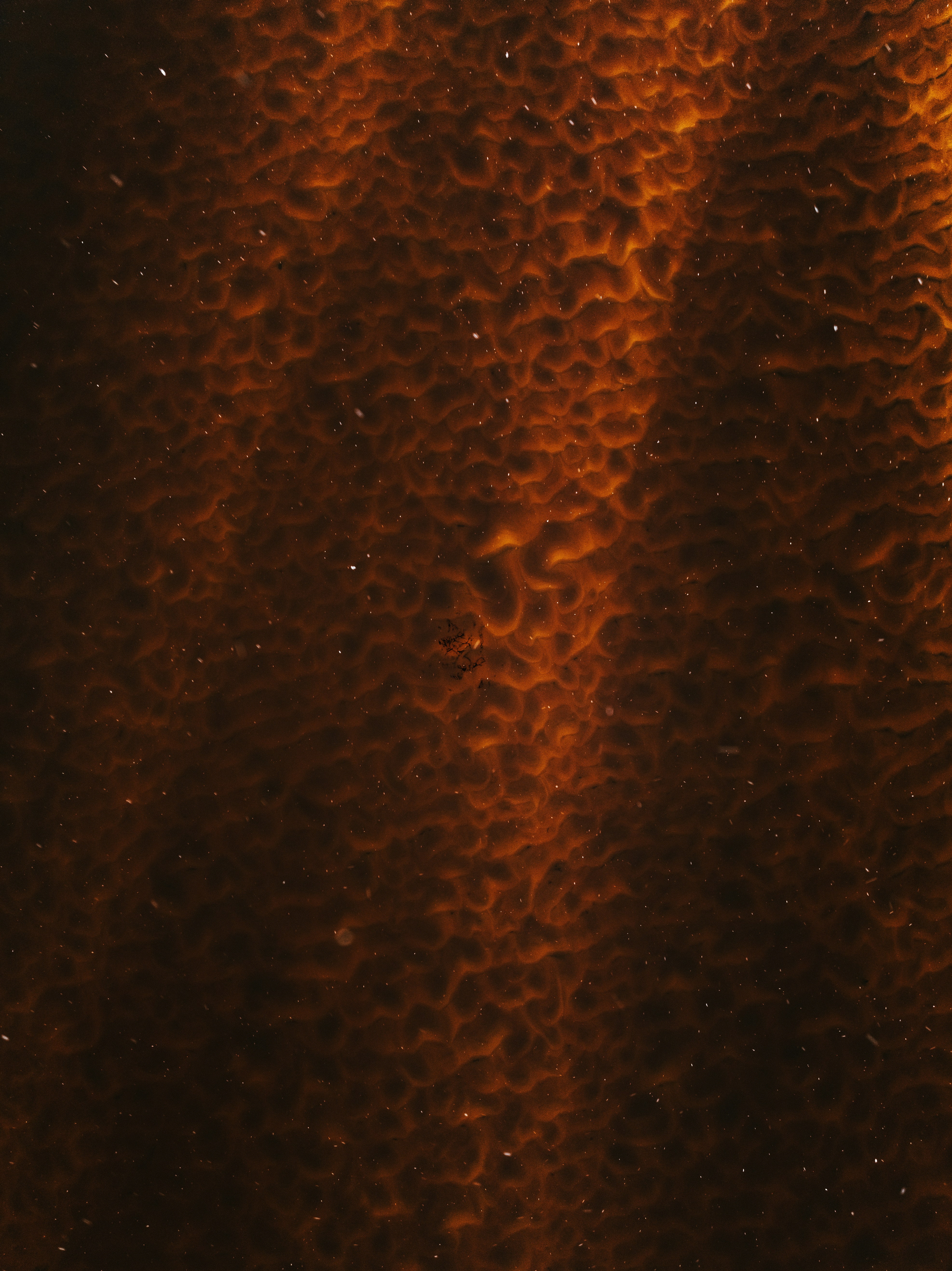 Abstract pattern of dark orange and brown textures