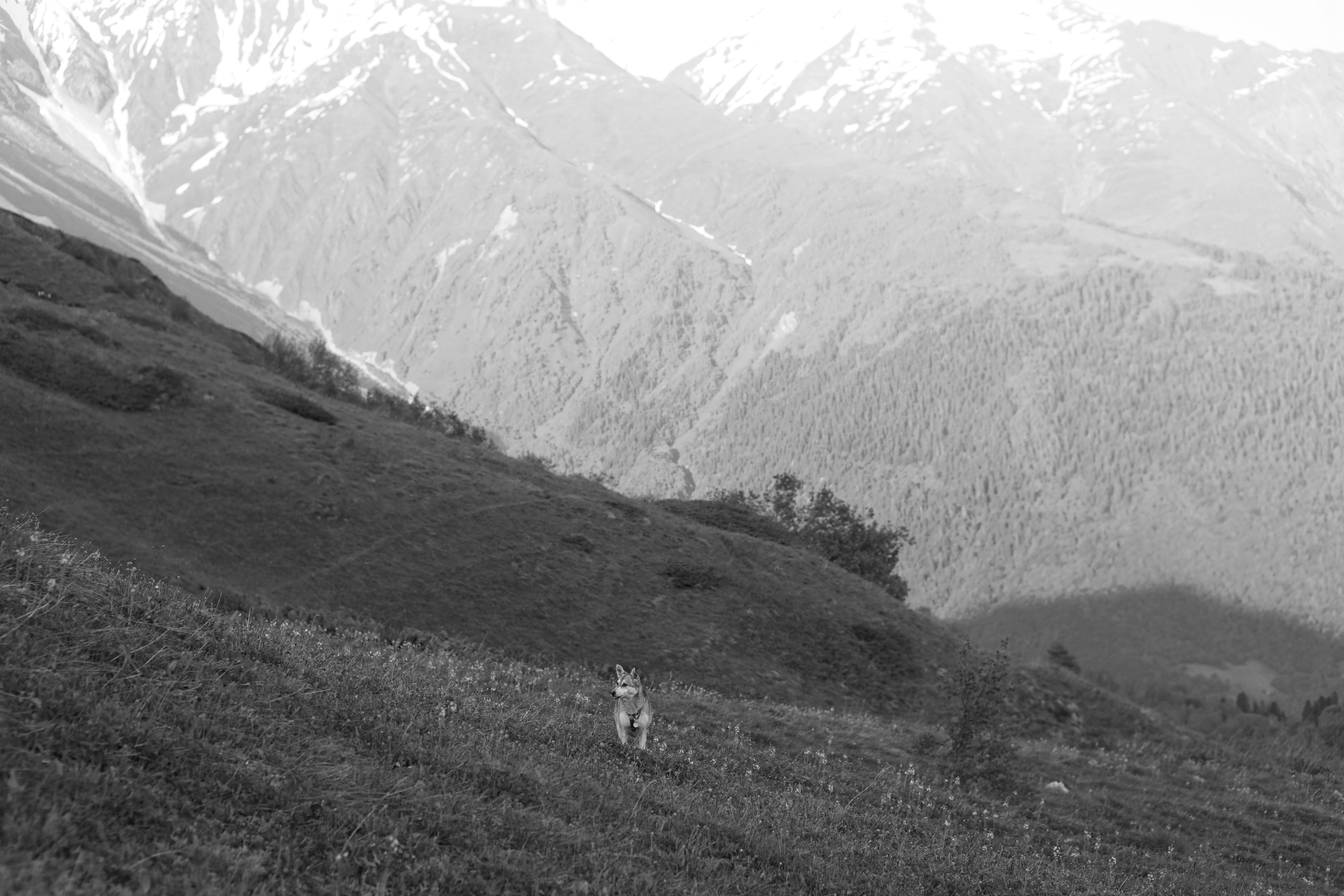 Photo by ed9jxhgjnebe