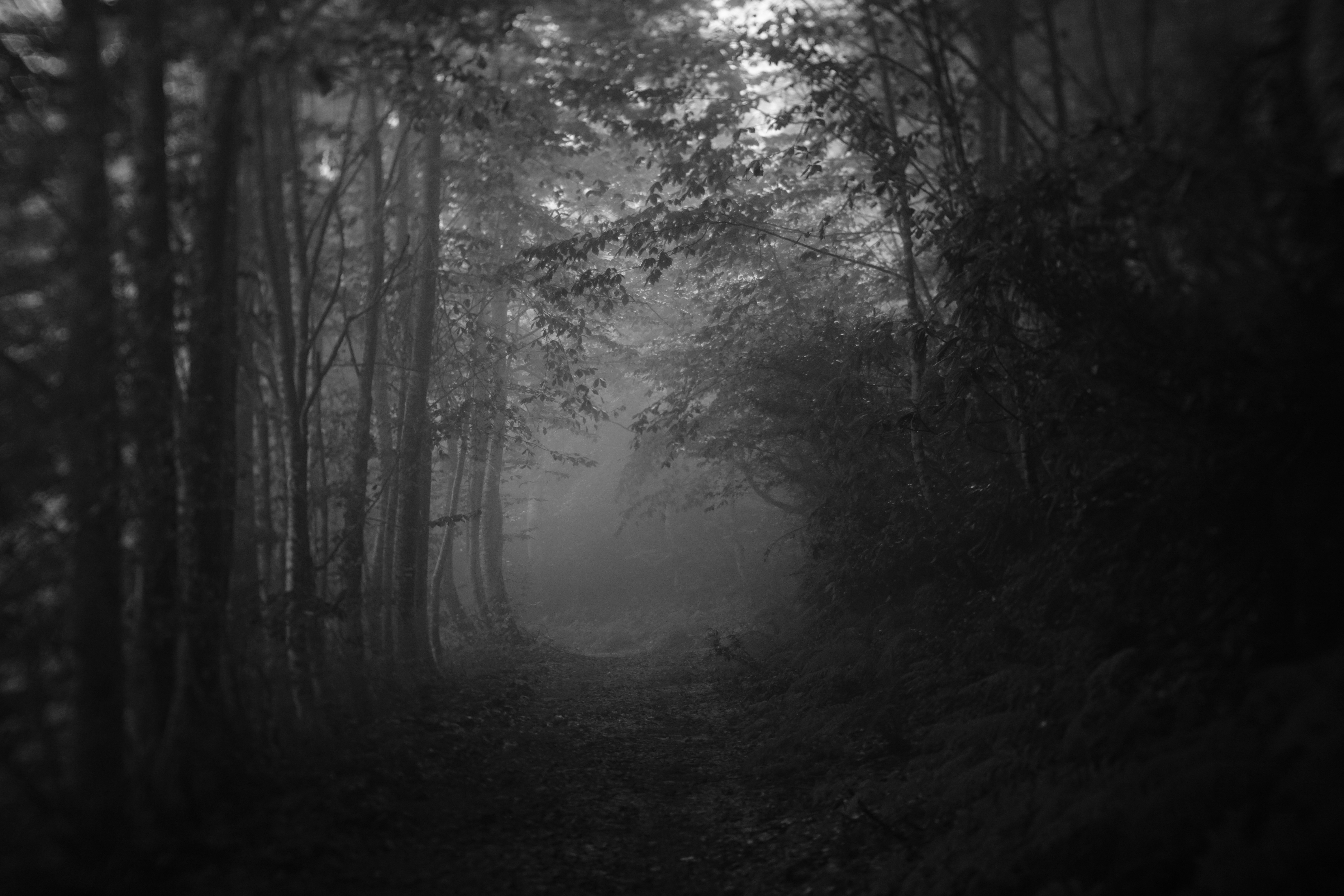 Photo by ed9jxhgjnebe