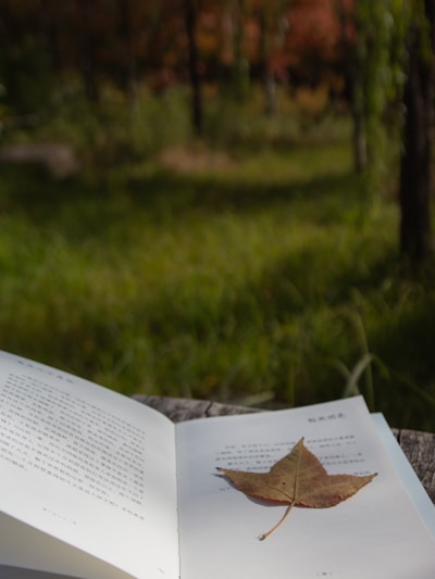 A fallen leaf rests on an open book outdoors.