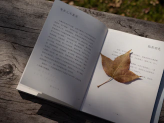 An open book with a fallen leaf on a page.