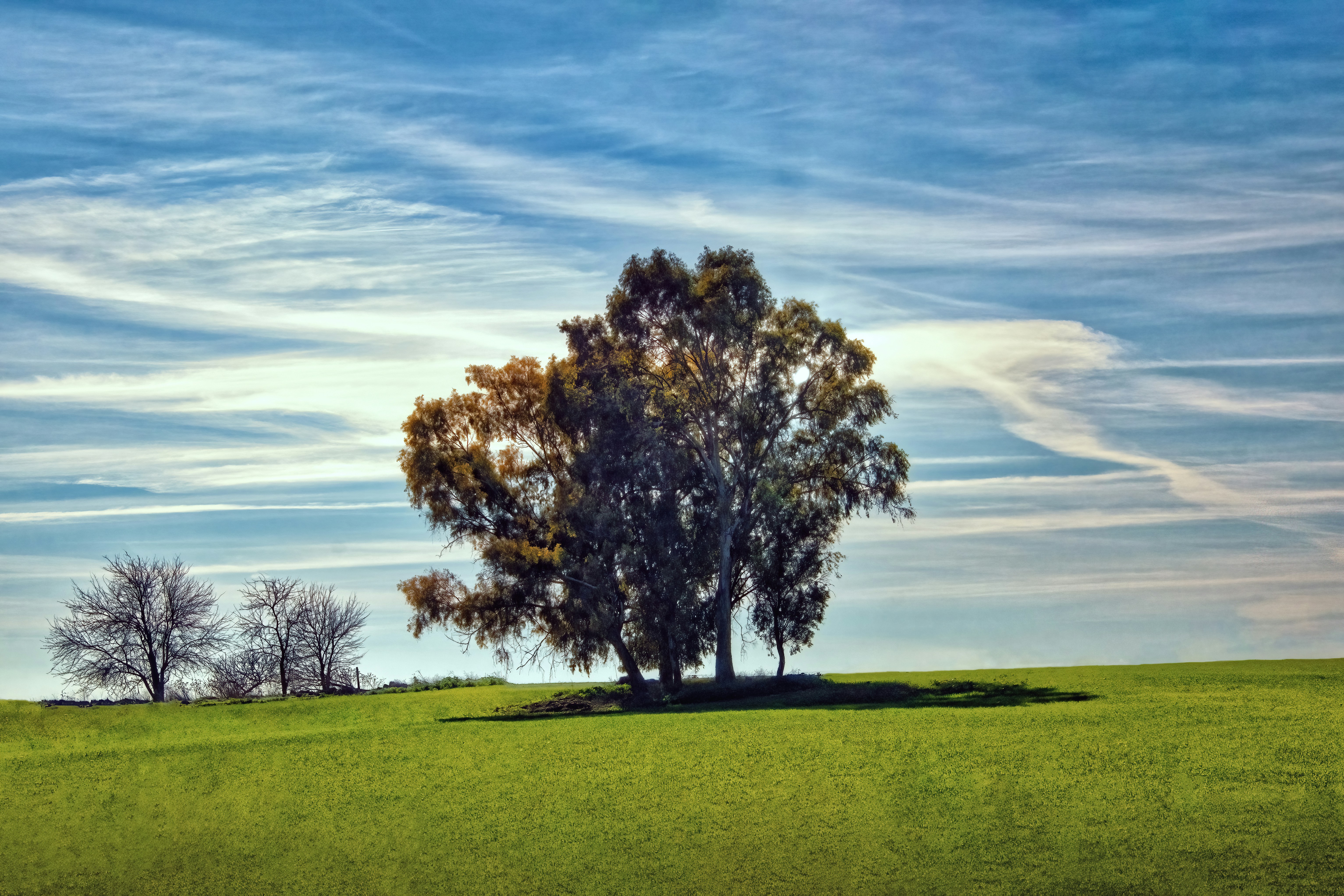 Photo by ruanorosa