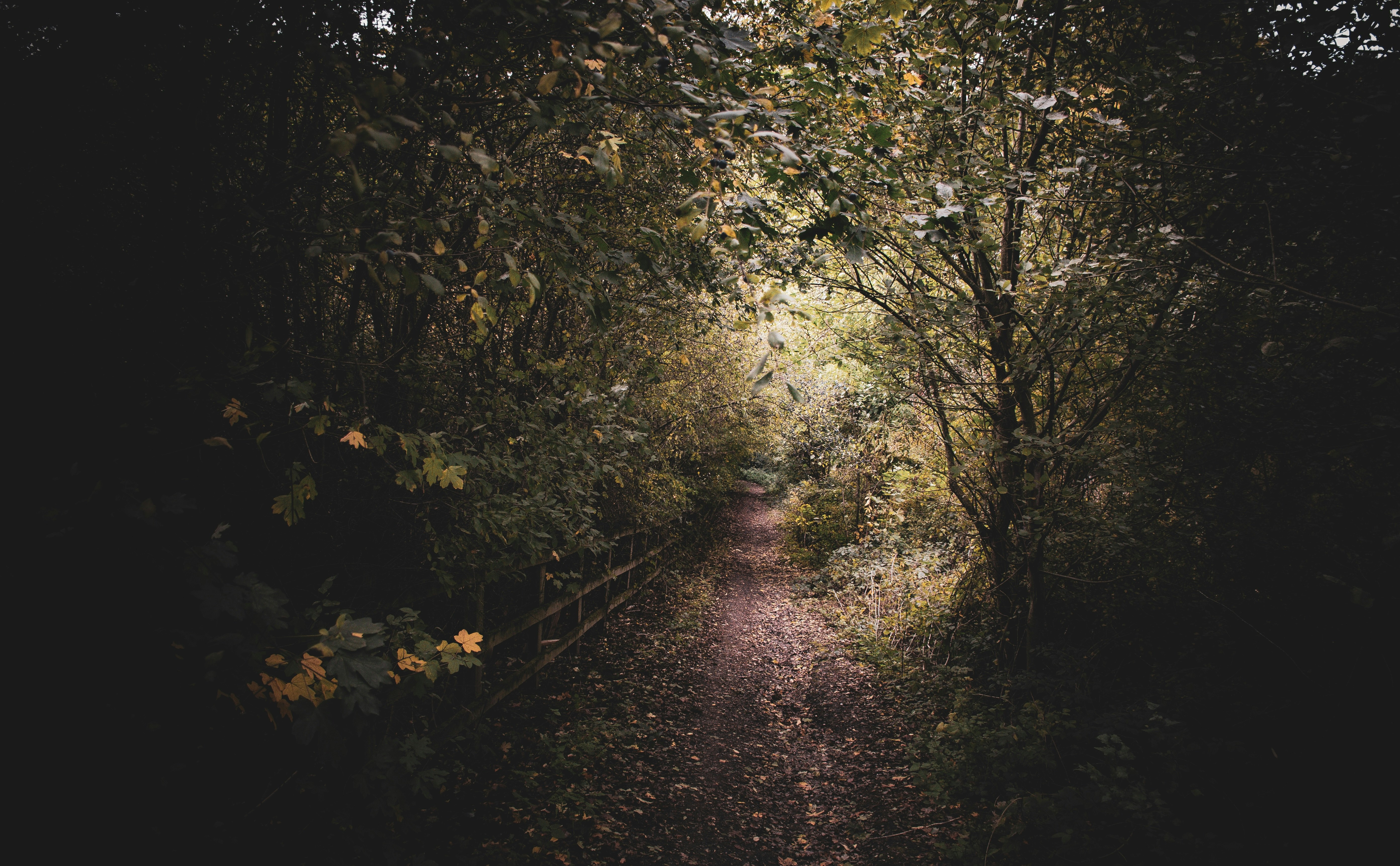 Photo by hipposeyephotography