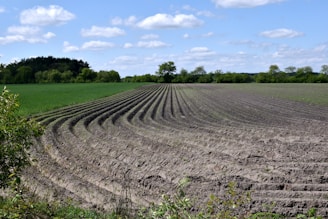 Newly plowed field with rolling hills in background