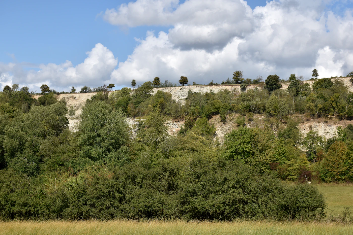 Pic Saint-Loup