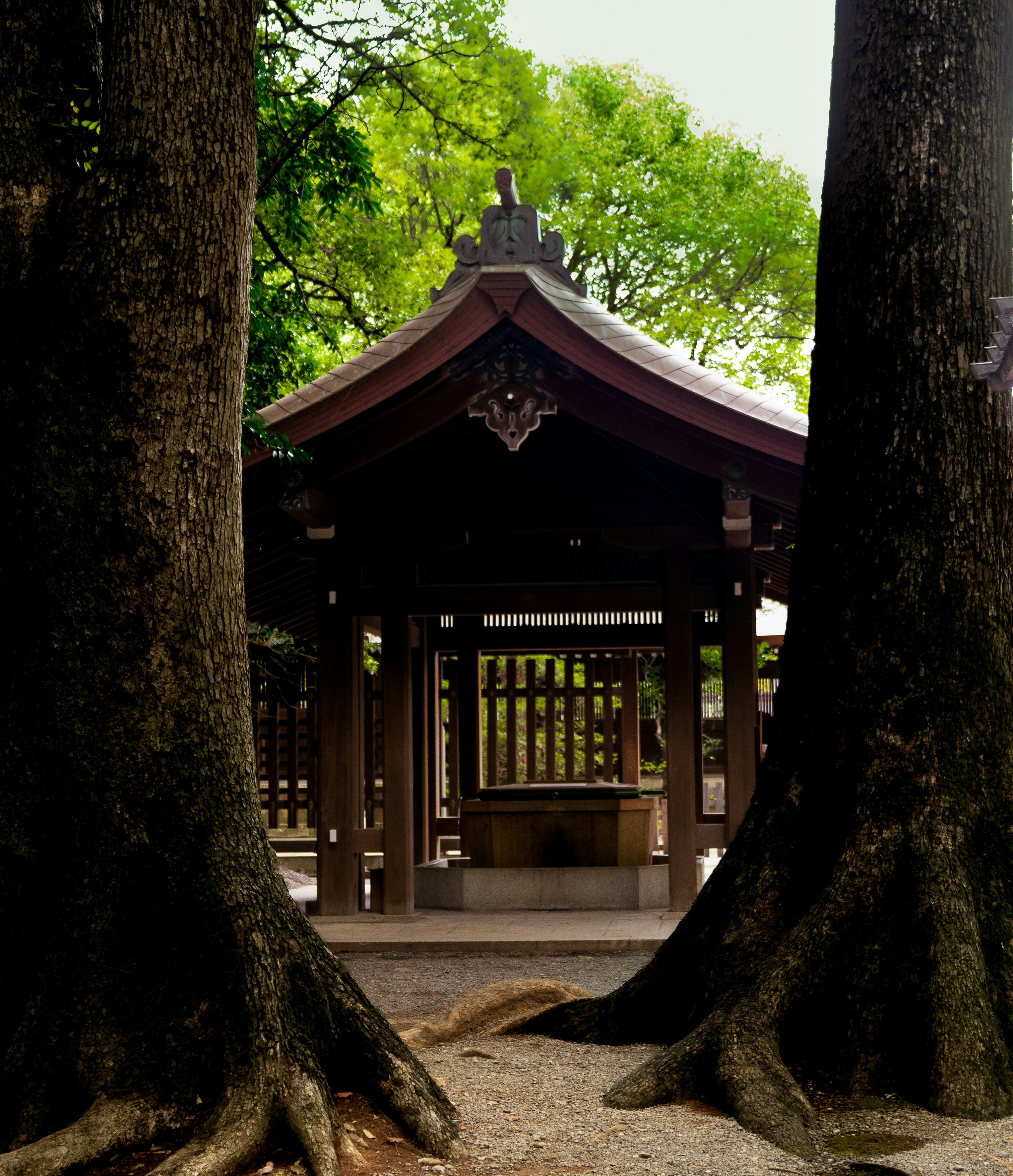 Photo by momentsbyprats