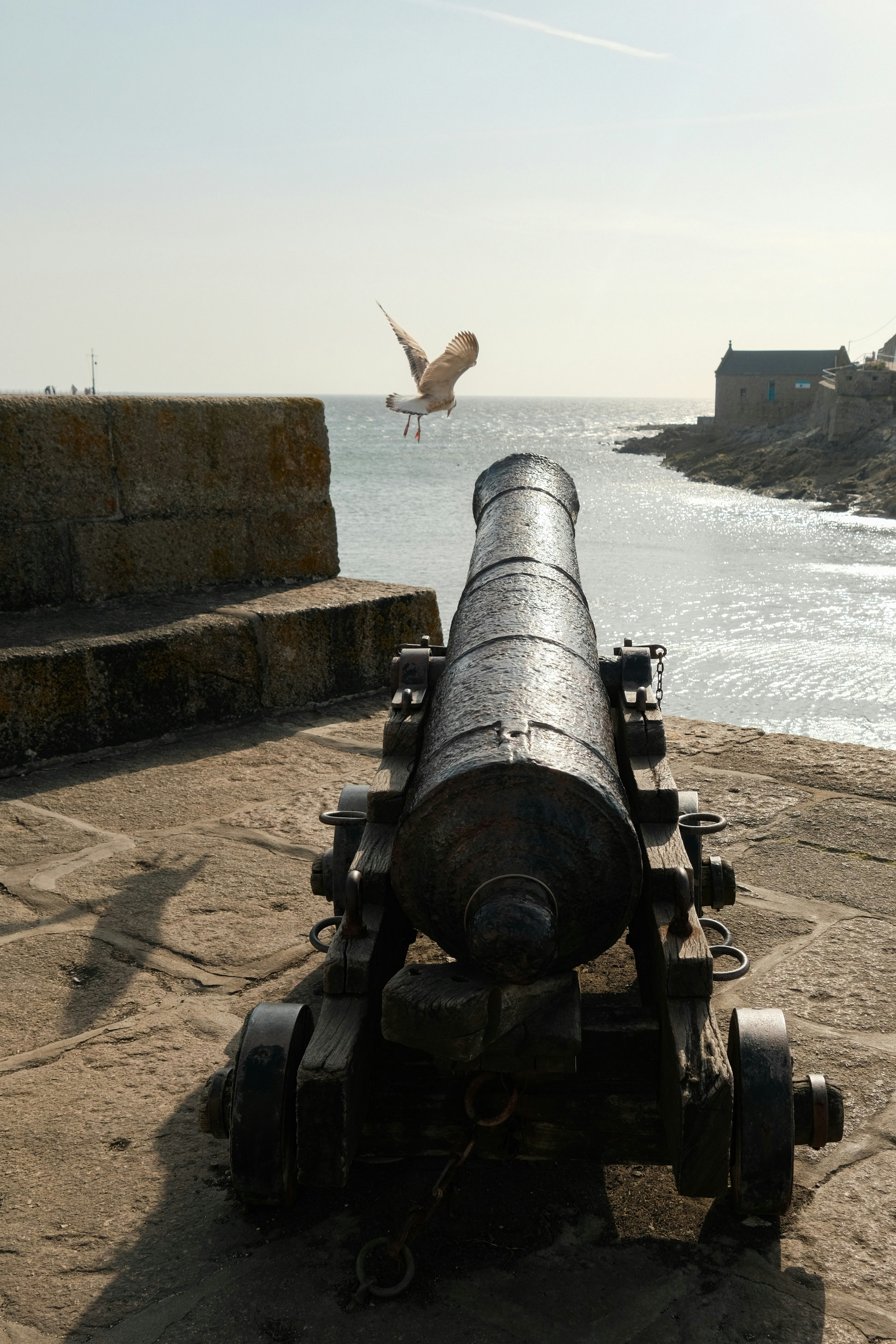 Old cannon facing the sea with a bird flying.