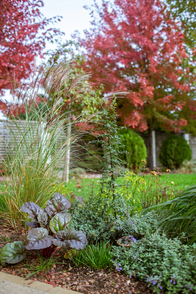 Perennial garden beds installed in Emmaus