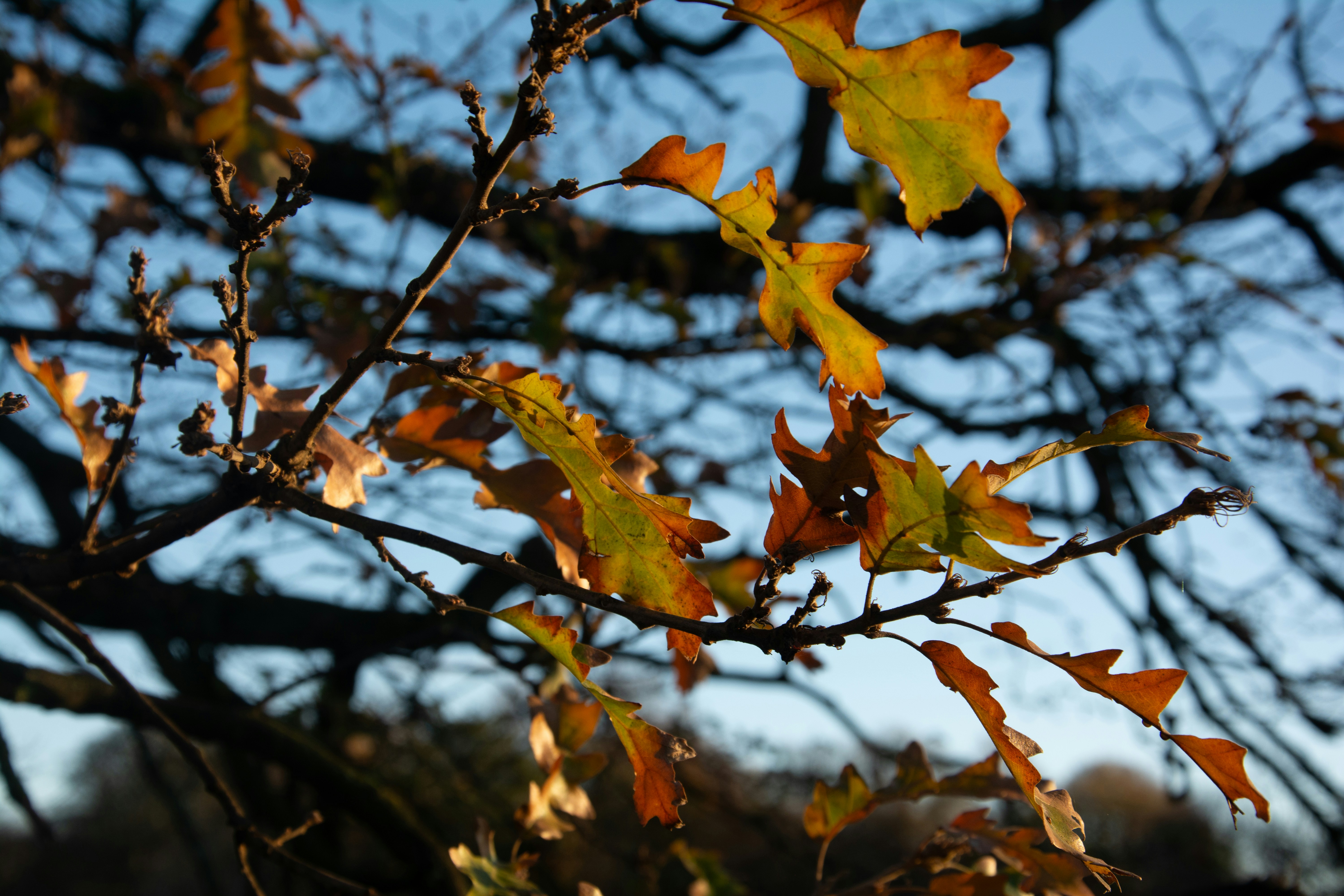 Photo by alexdavidphotos