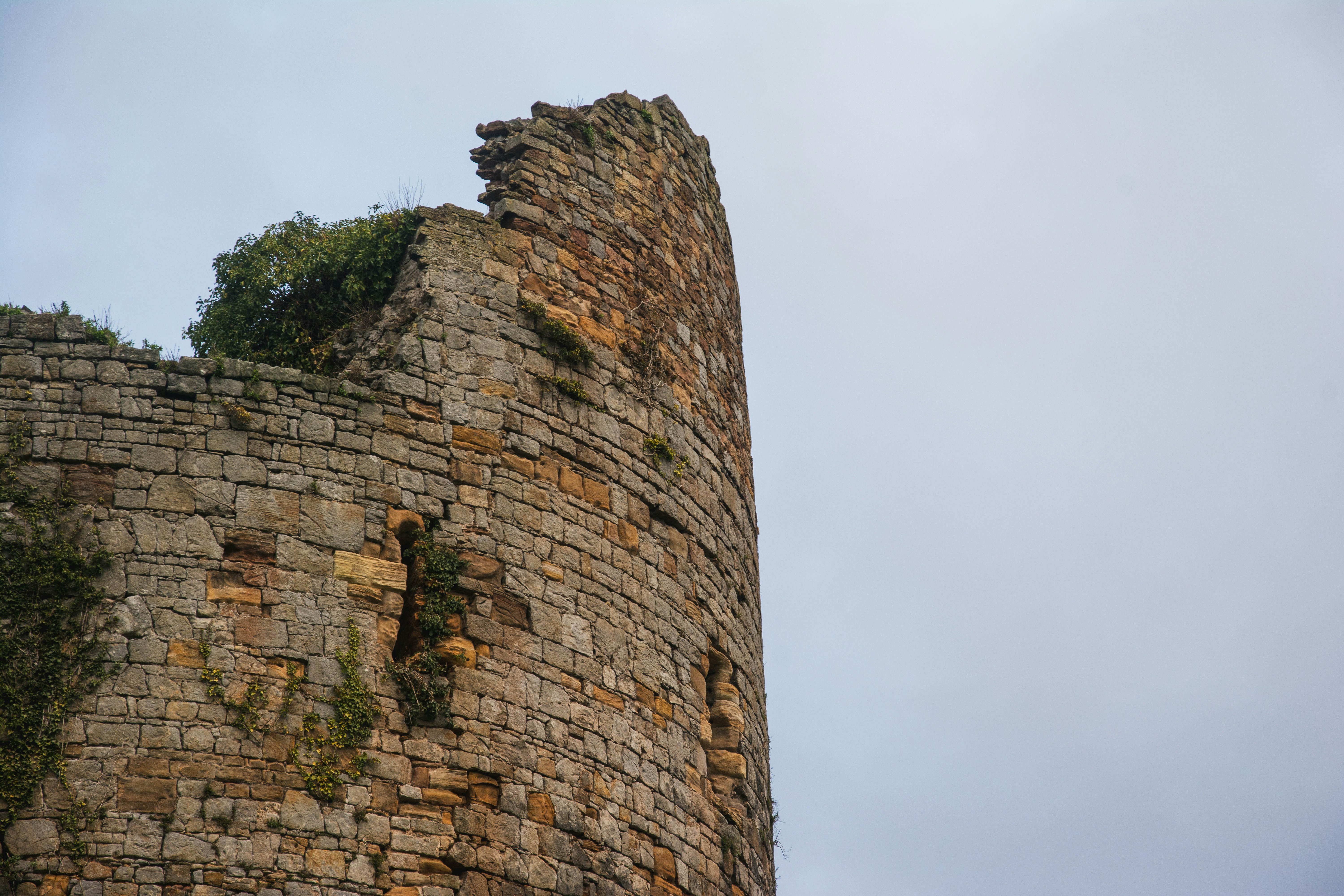 Photo by alexdavidphotos