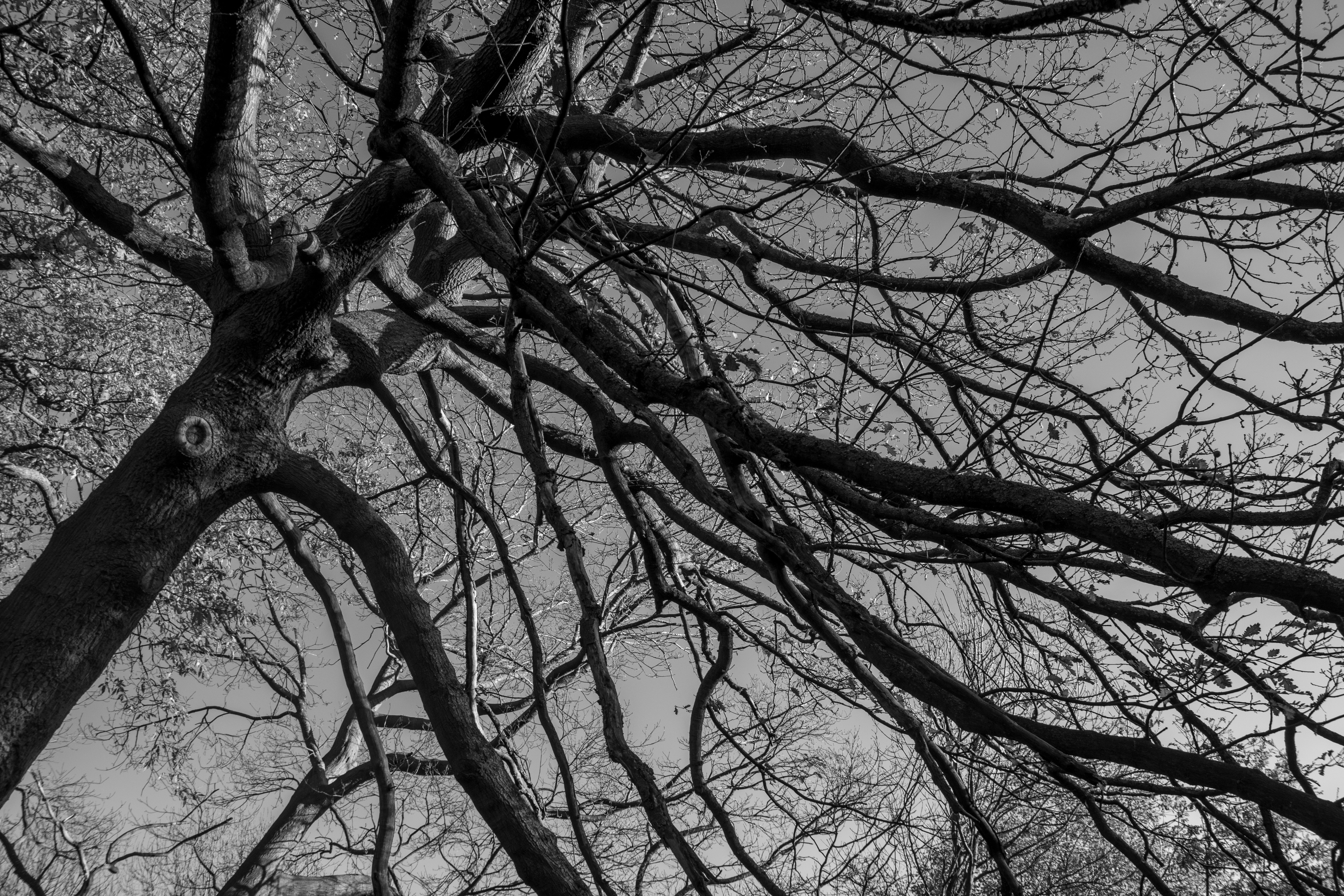 Photo by alexdavidphotos