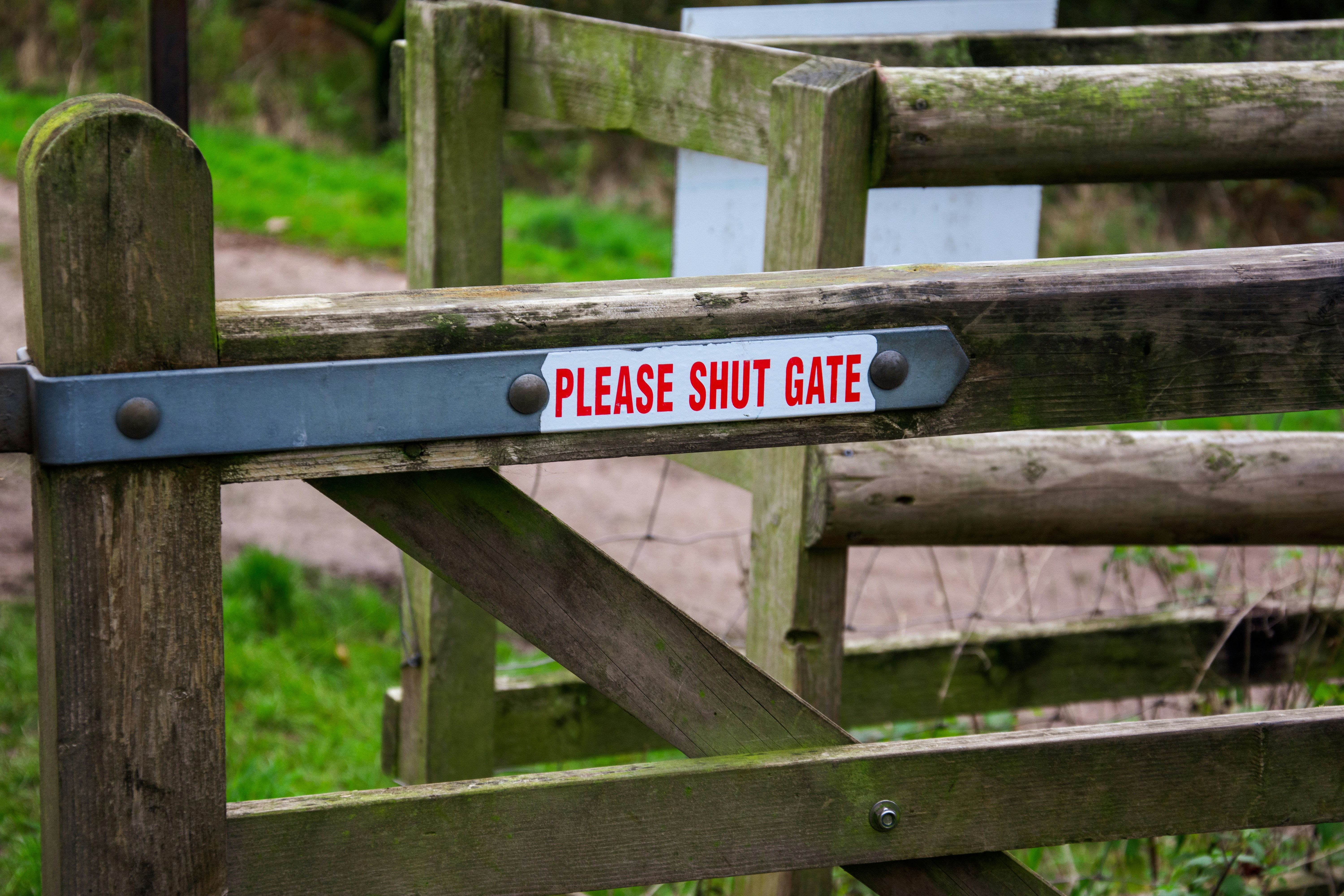 Wooden gate with a 