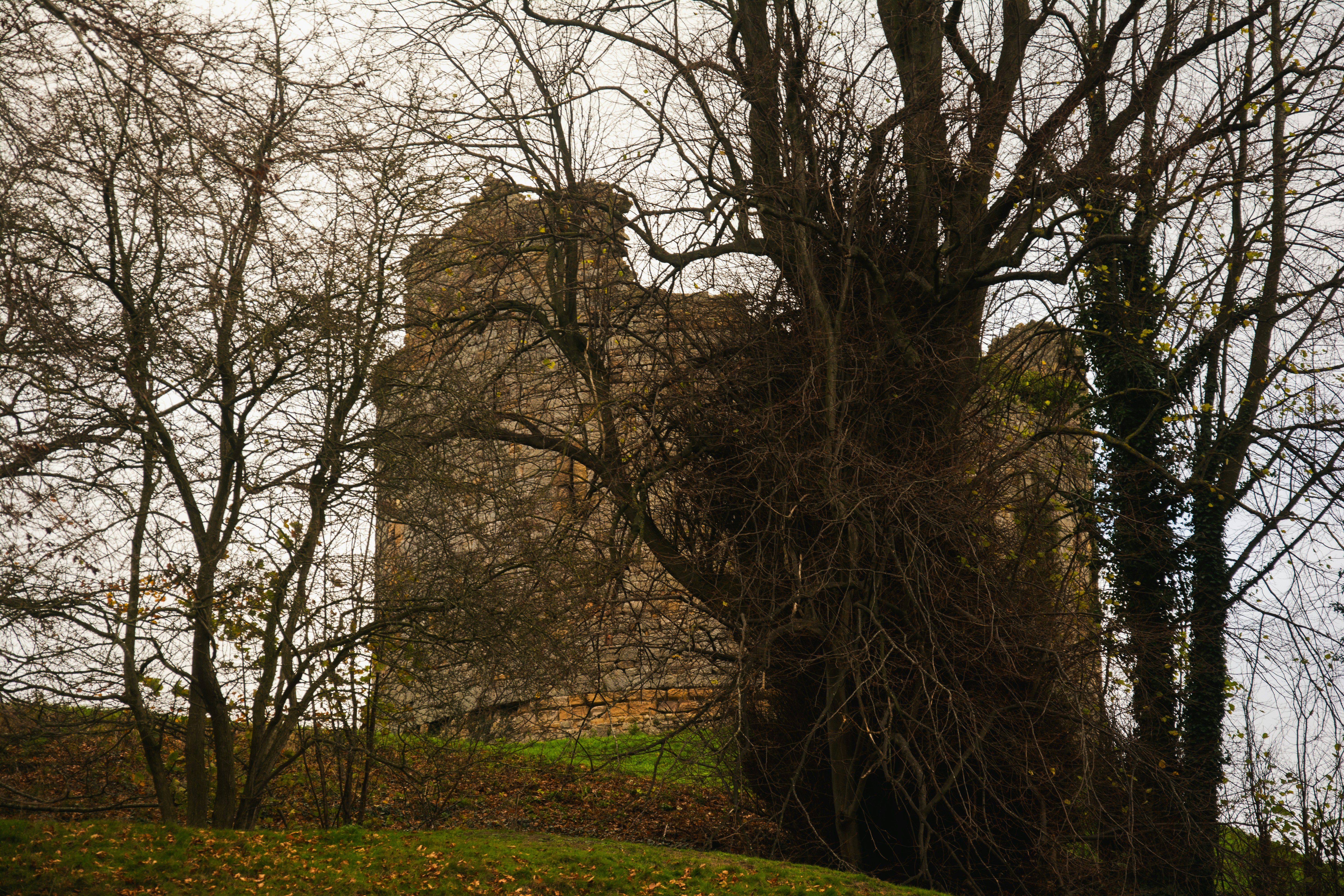 Photo by alexdavidphotos