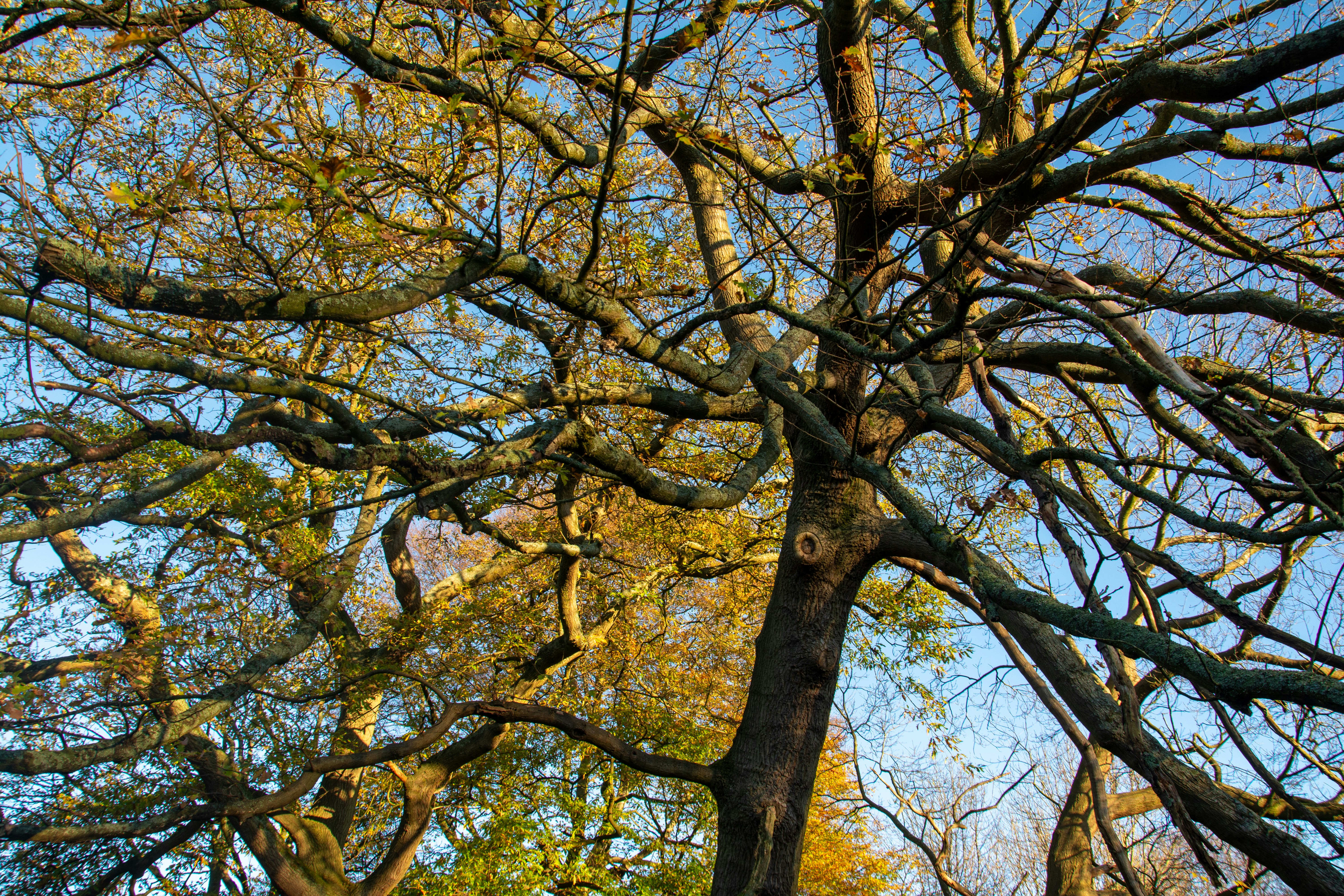 Photo by alexdavidphotos