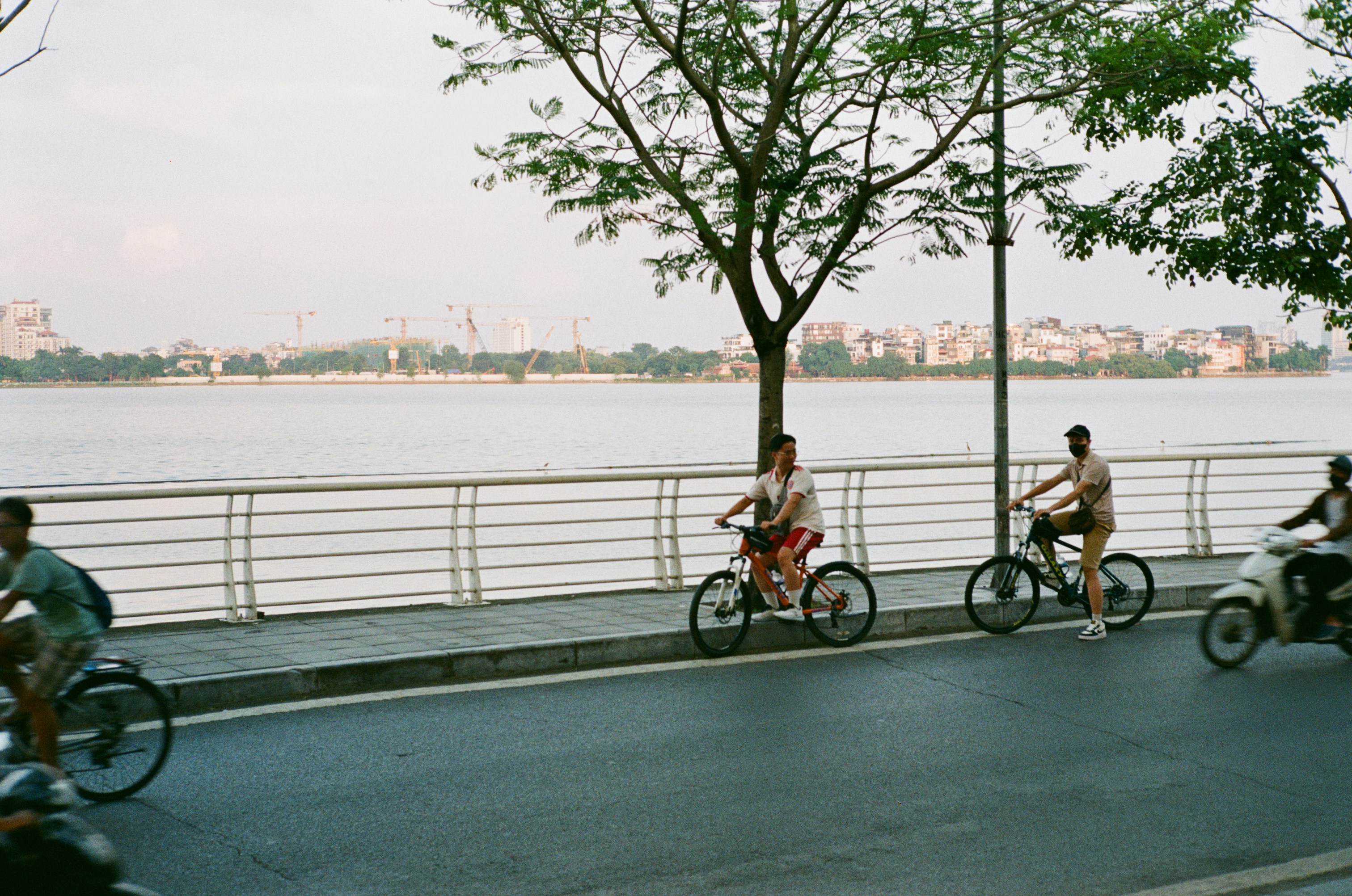 People cycling along a waterfront promenade with trees.