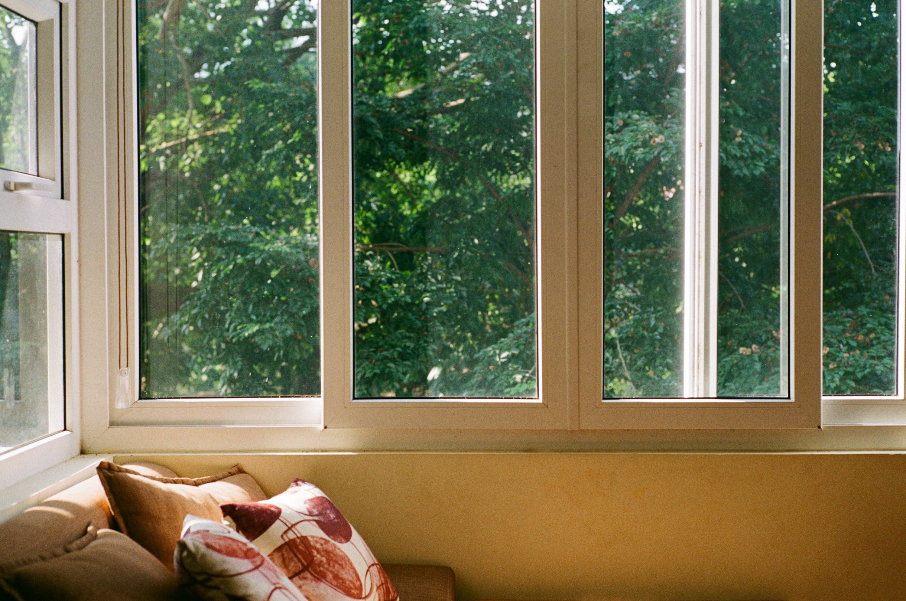 Photo by donguyenkhanhs