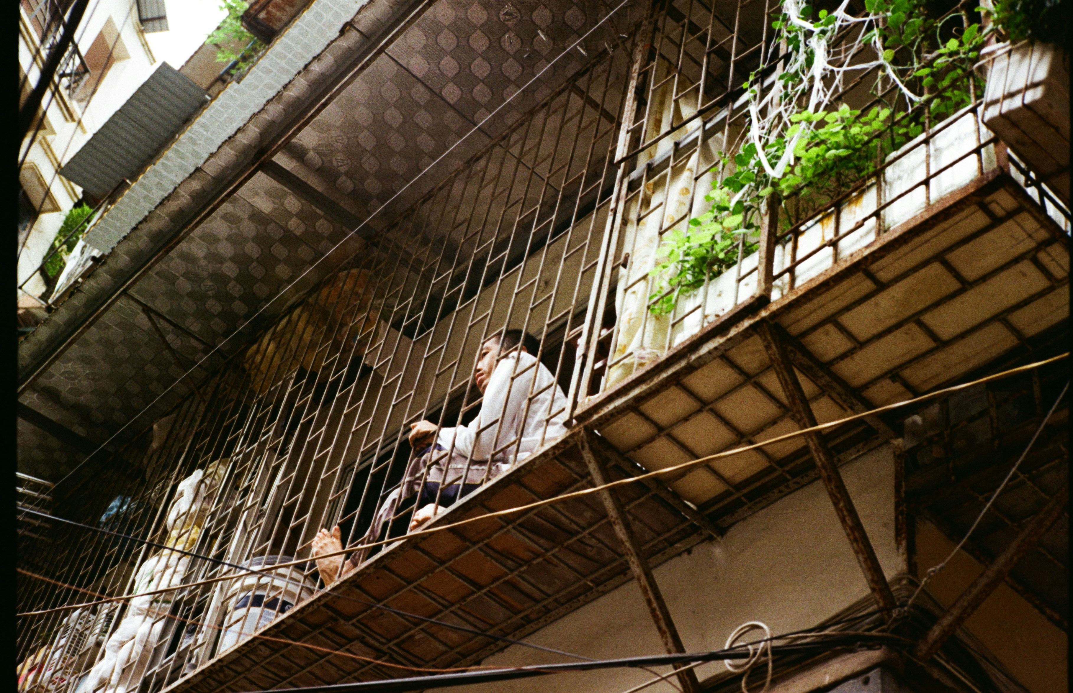 Person sitting on a balcony with plants.