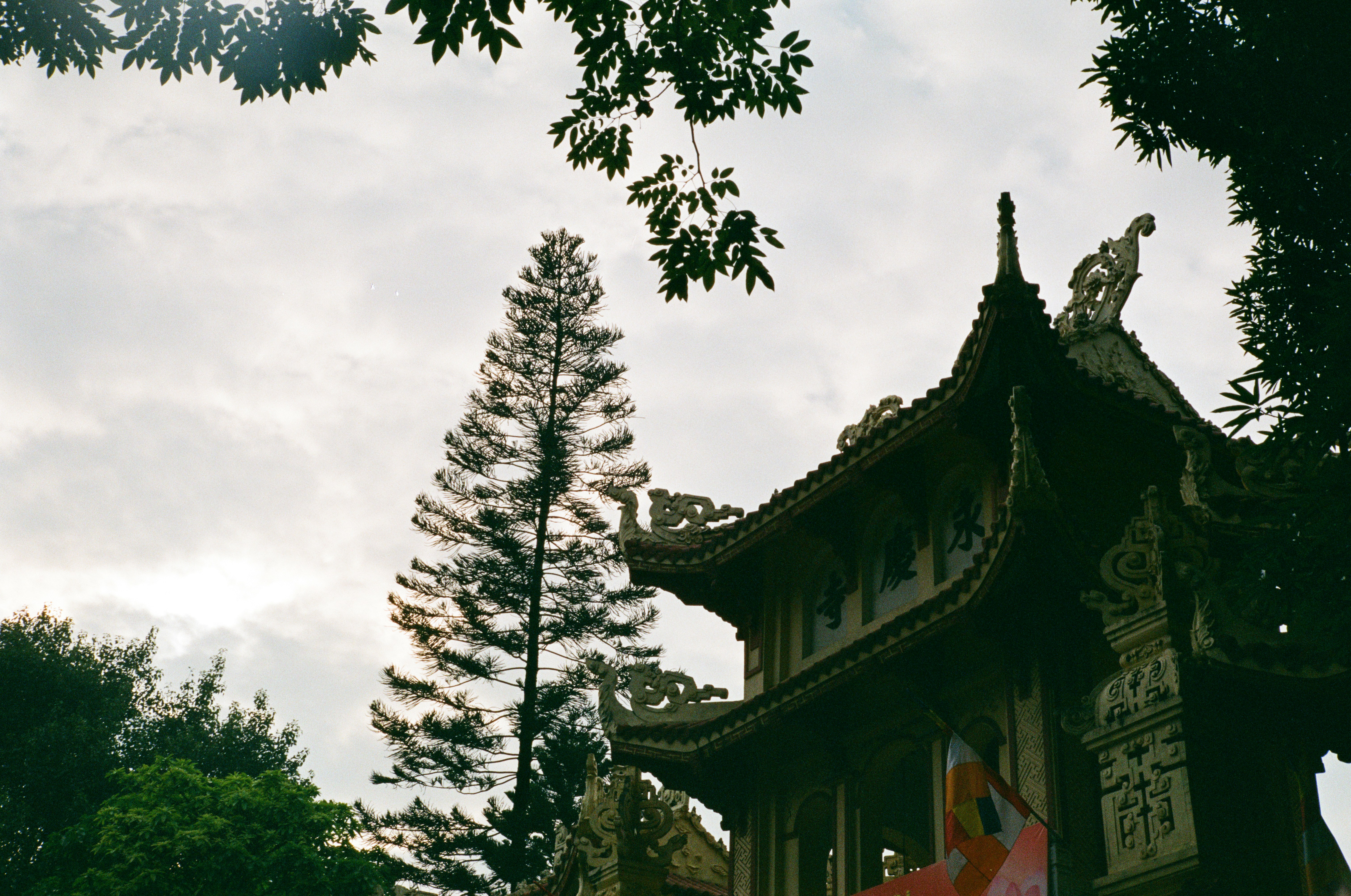 Photo by donguyenkhanhs