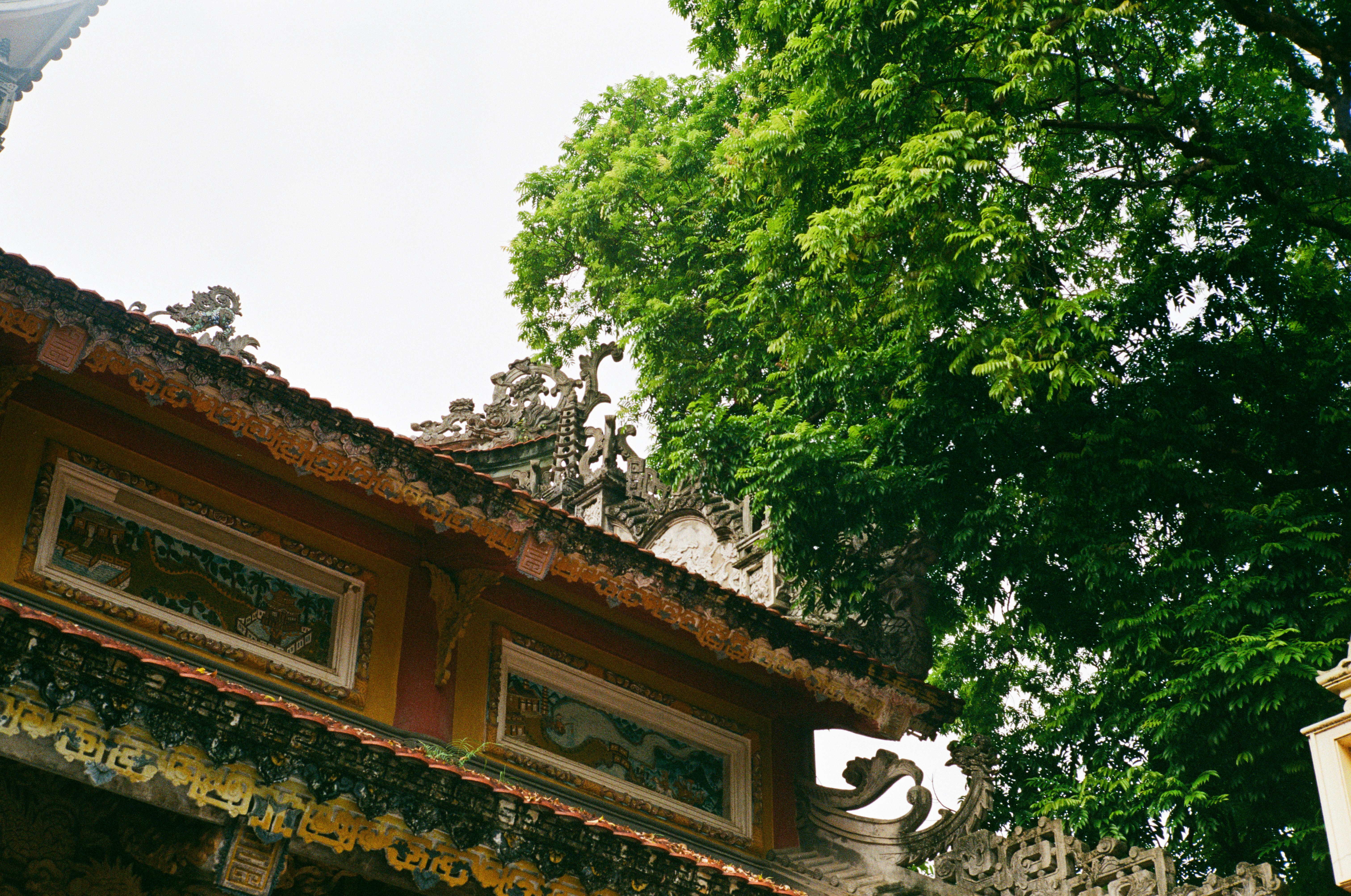 Photo by donguyenkhanhs