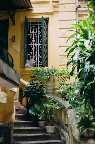 Green plants on a weathered staircase with yellow wall.