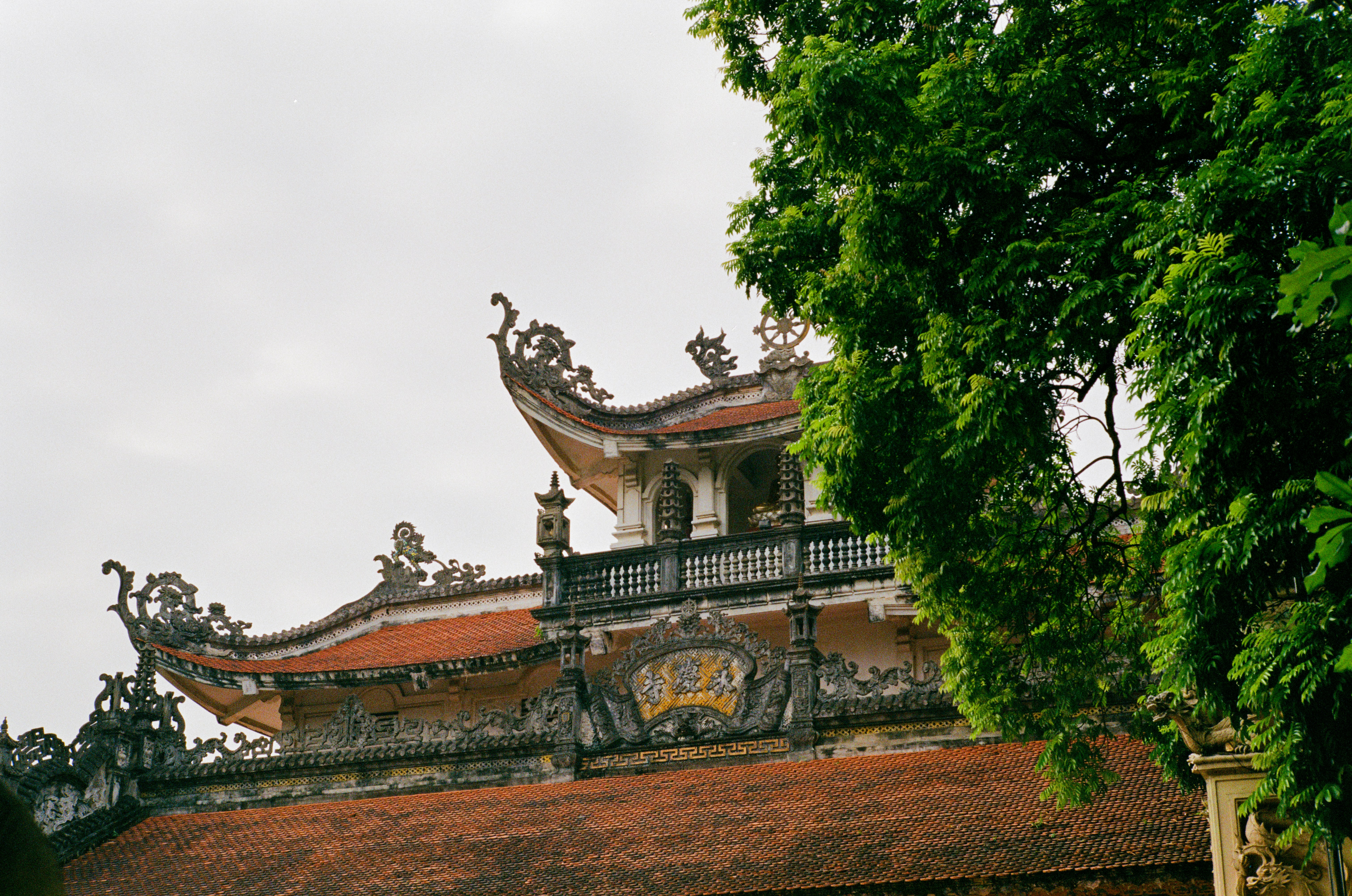 Photo by donguyenkhanhs