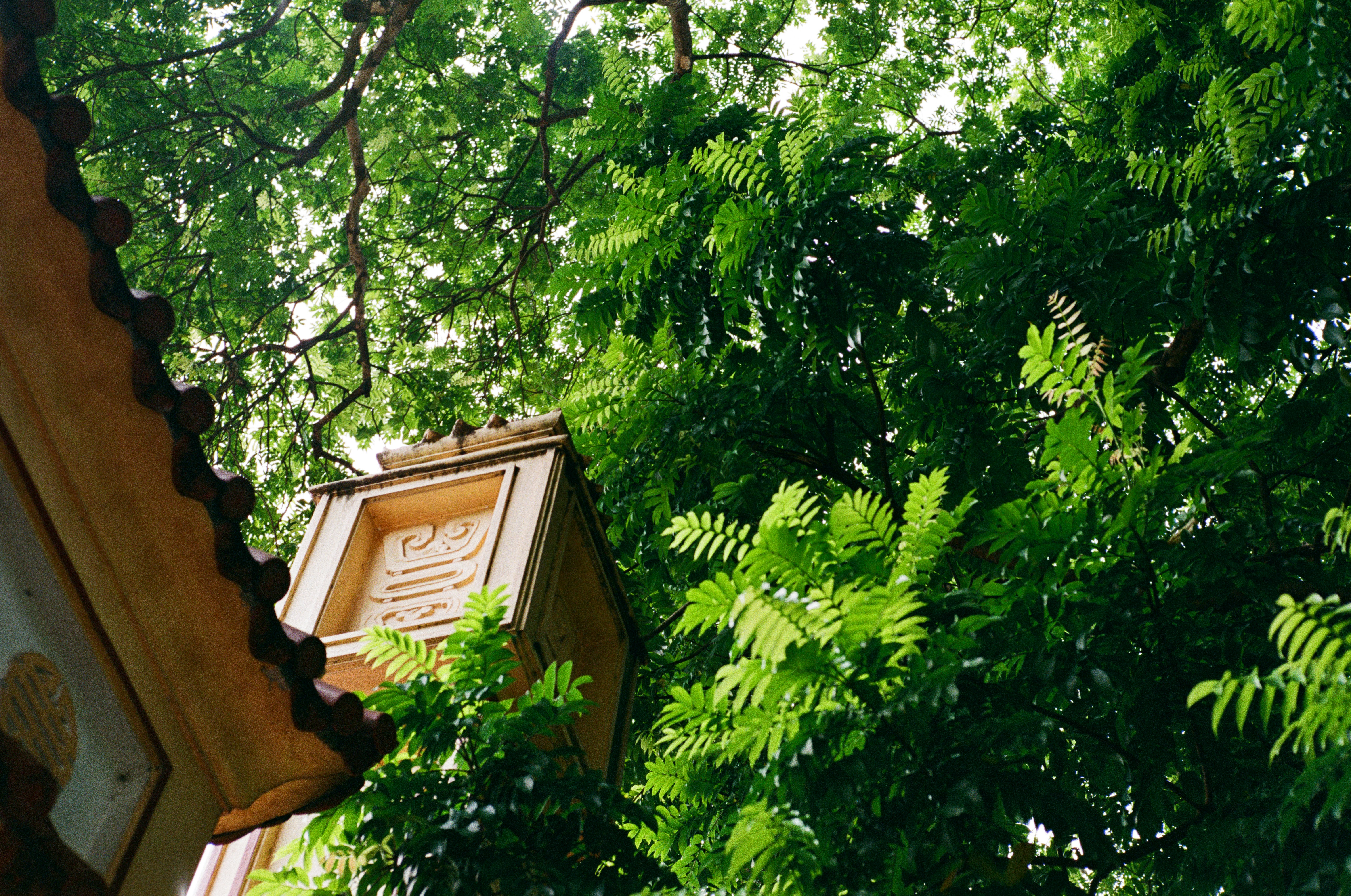 Photo by donguyenkhanhs