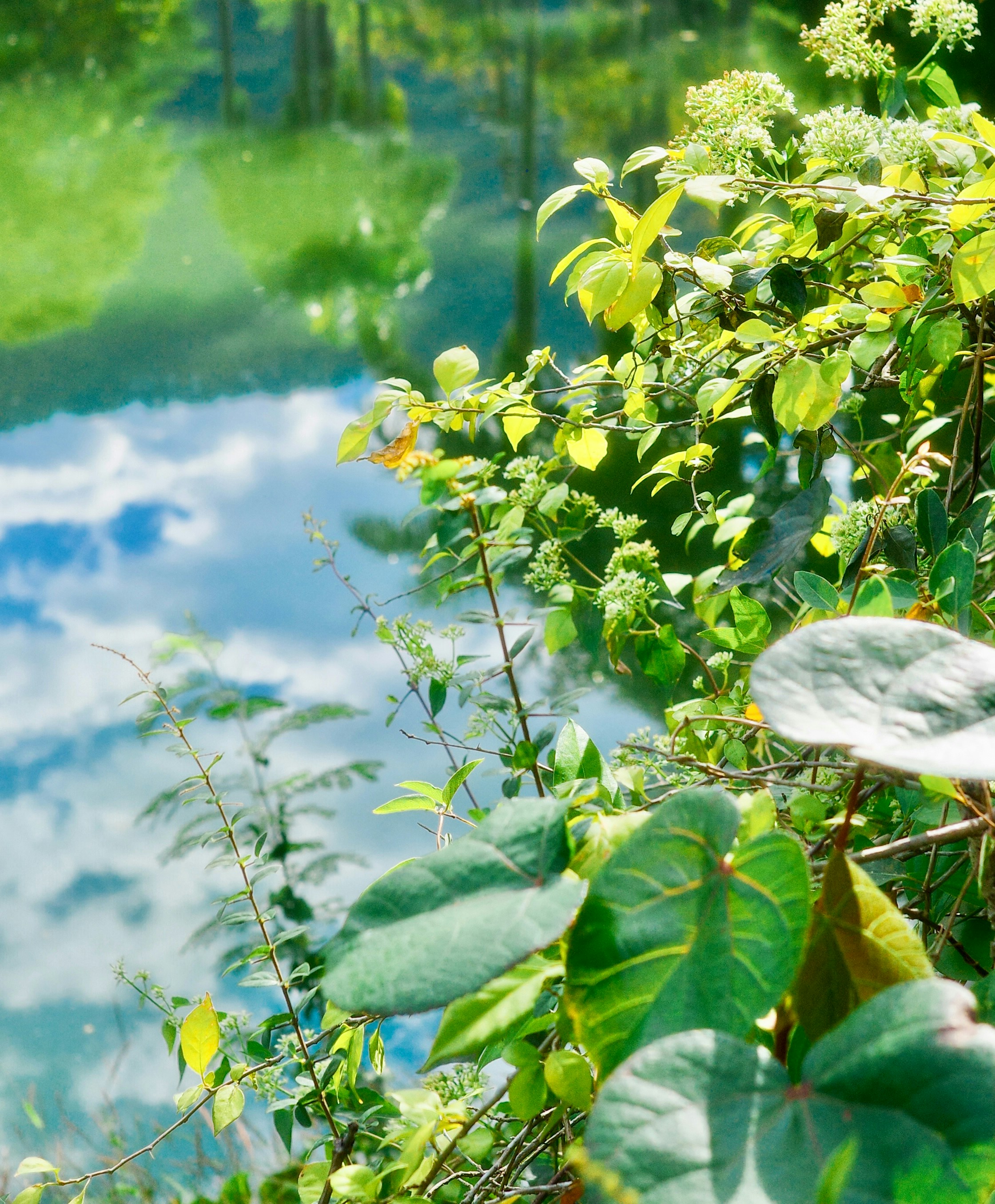 Photo by lazziemoments