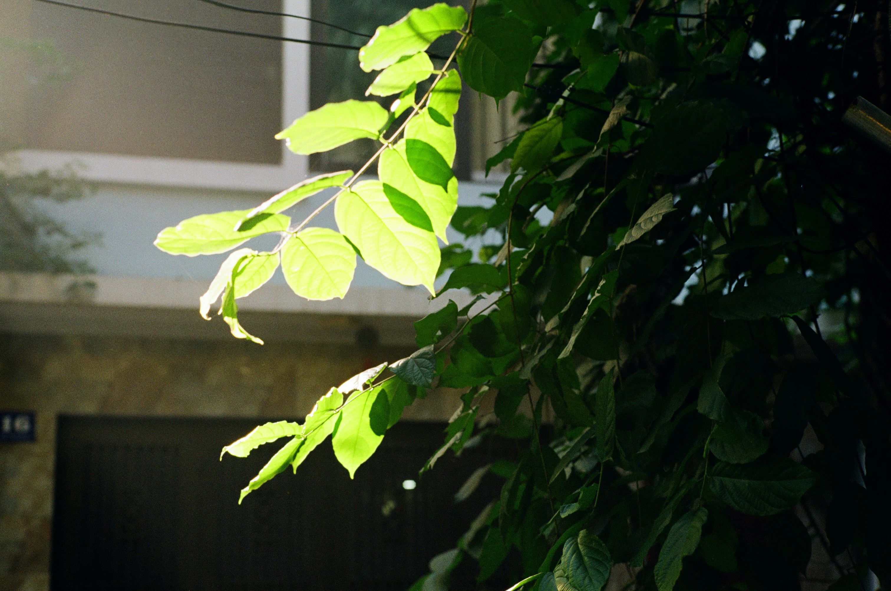 Photo by donguyenkhanhs