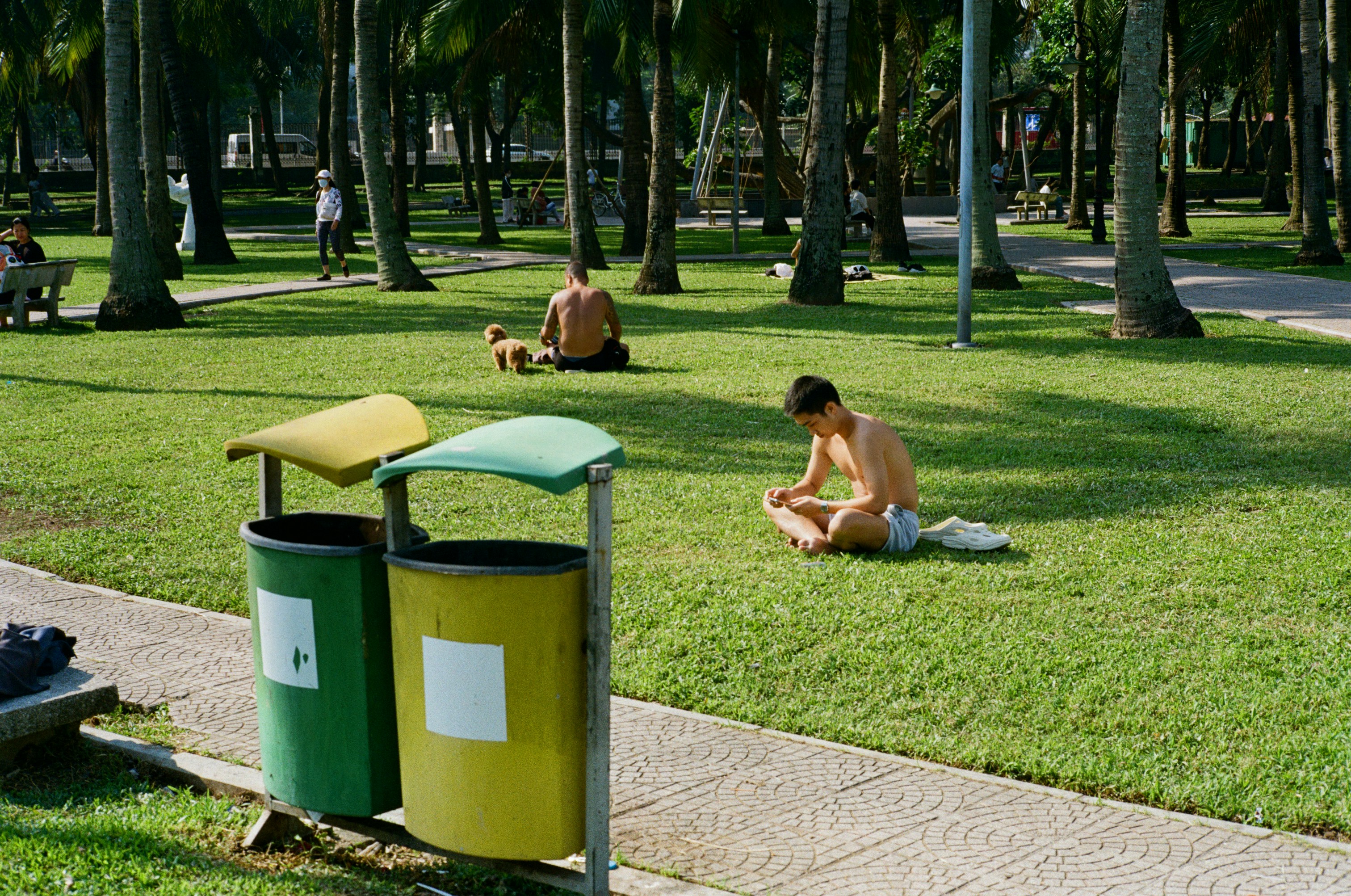 Men relaxing on grass in a park with palm trees.