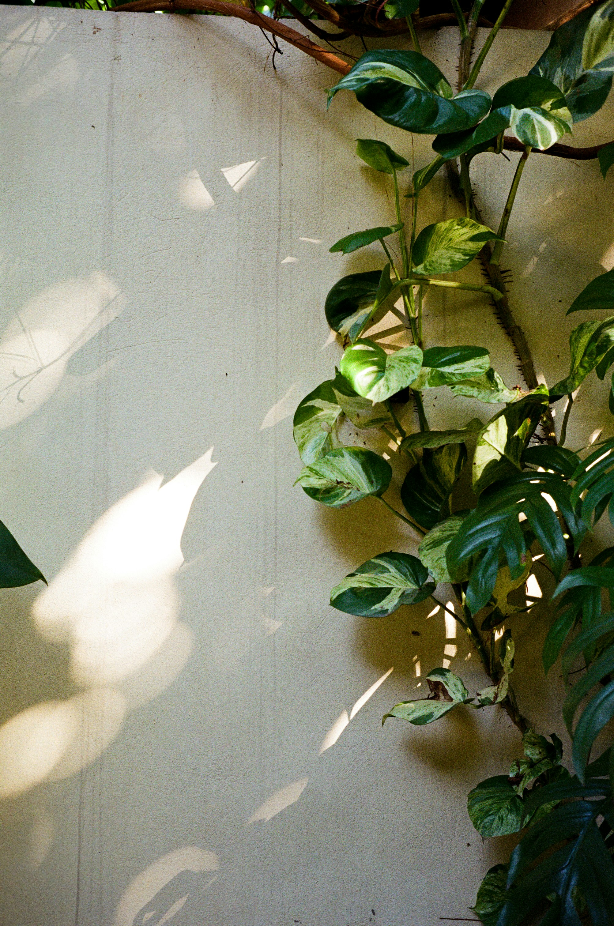 Photo by donguyenkhanhs