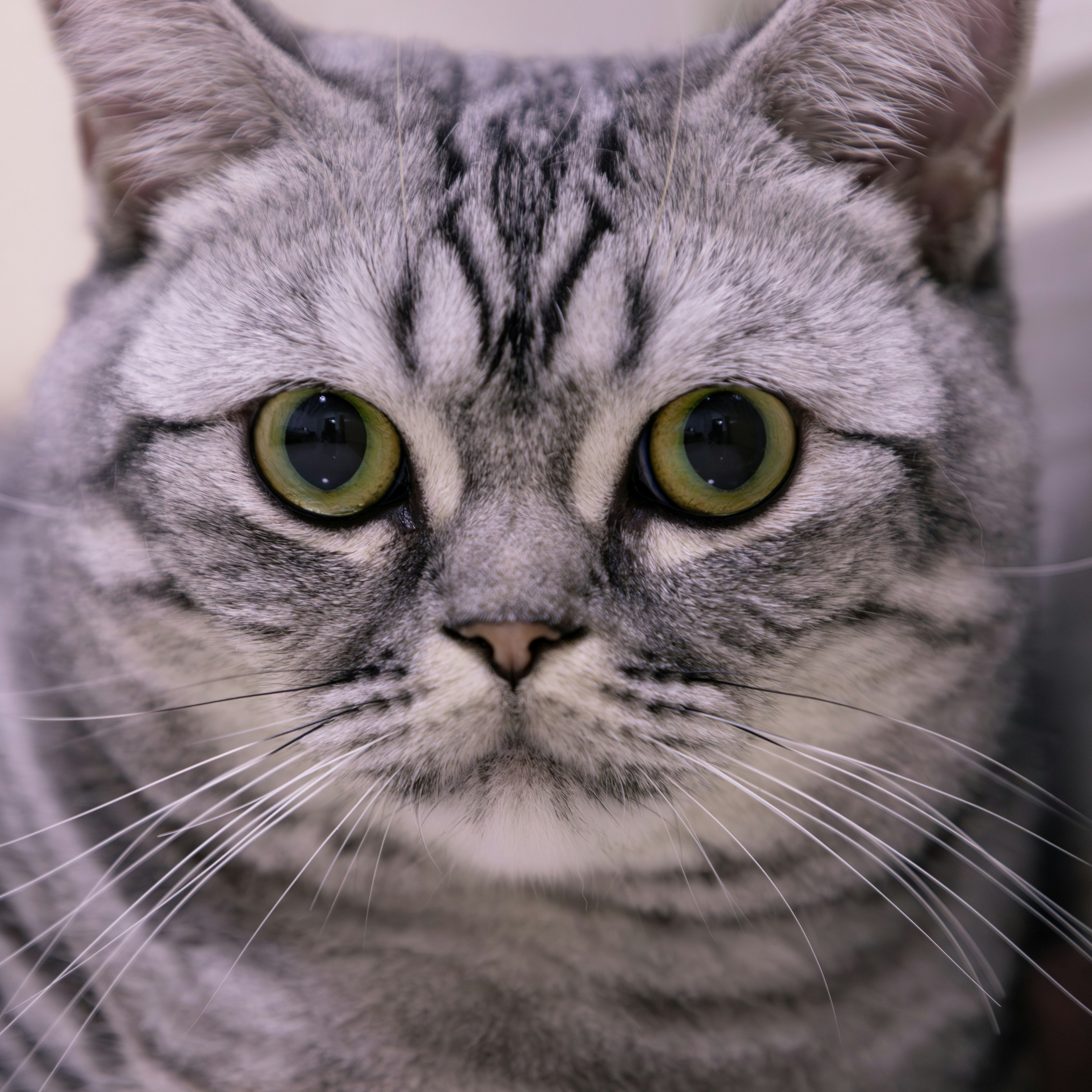 Photo by bright202310