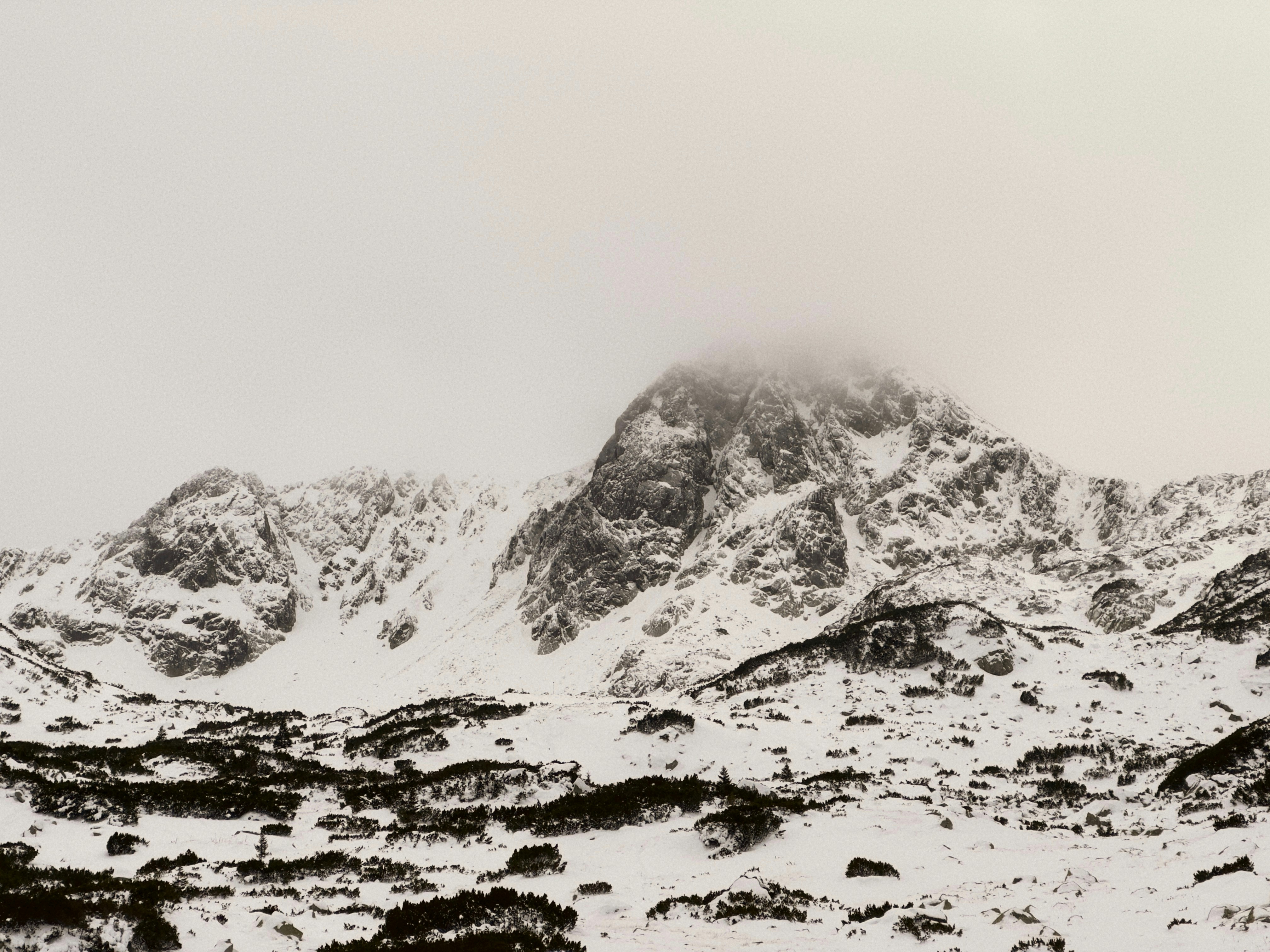 Photo by moisamihai092