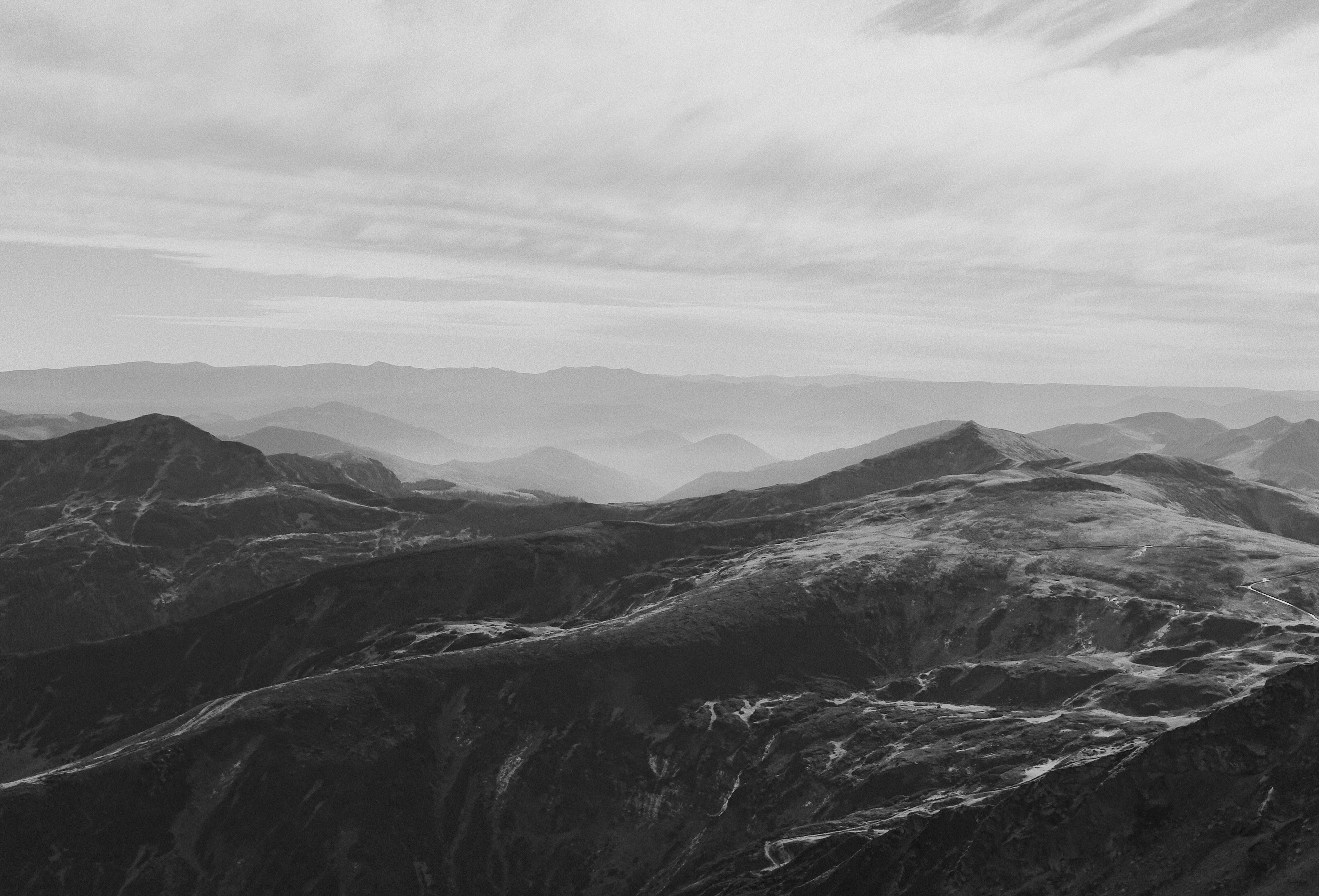 Photo by moisamihai092